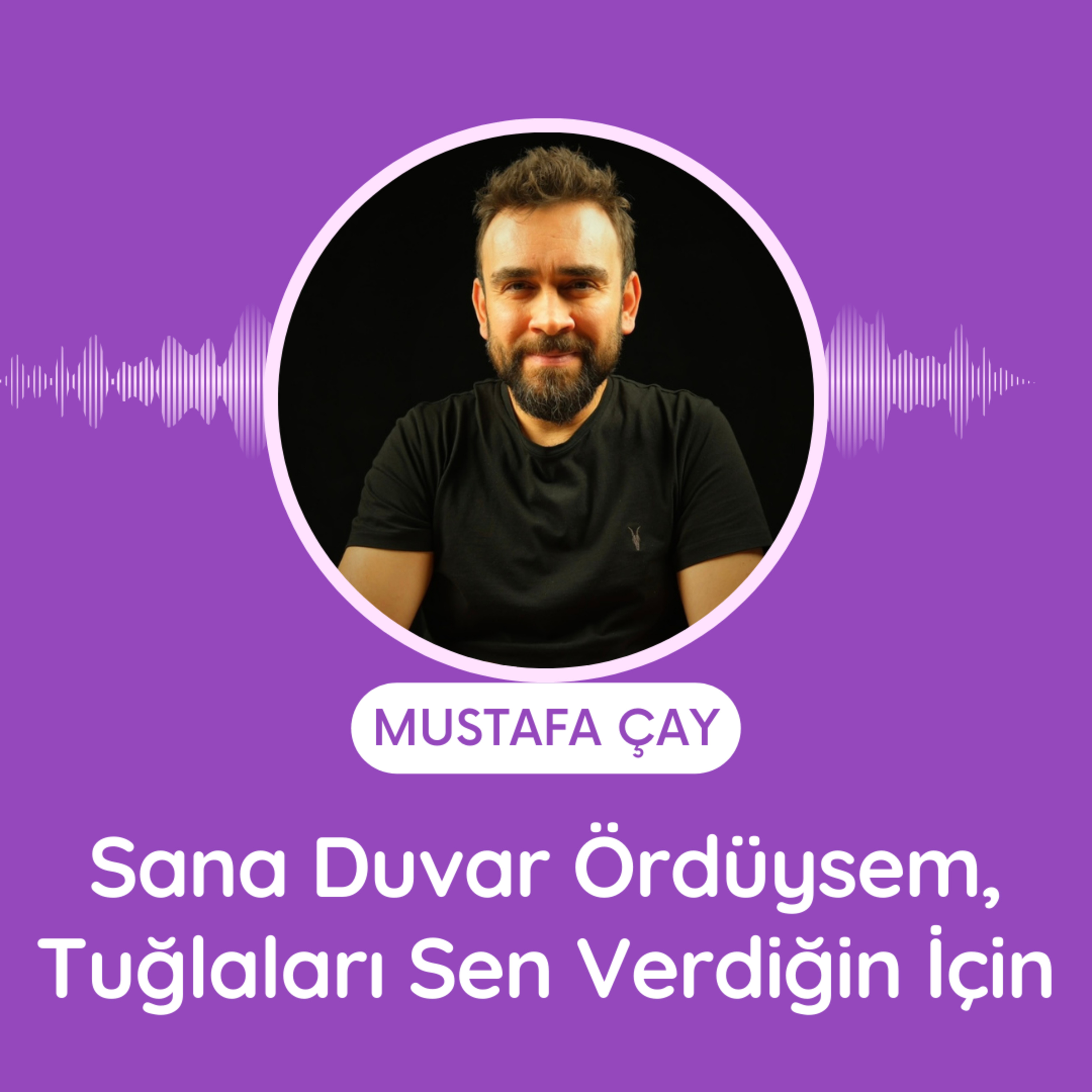 Sana Duvar Ördüysem, Tuğlaları Sen Verdiğin İçin episode artwork