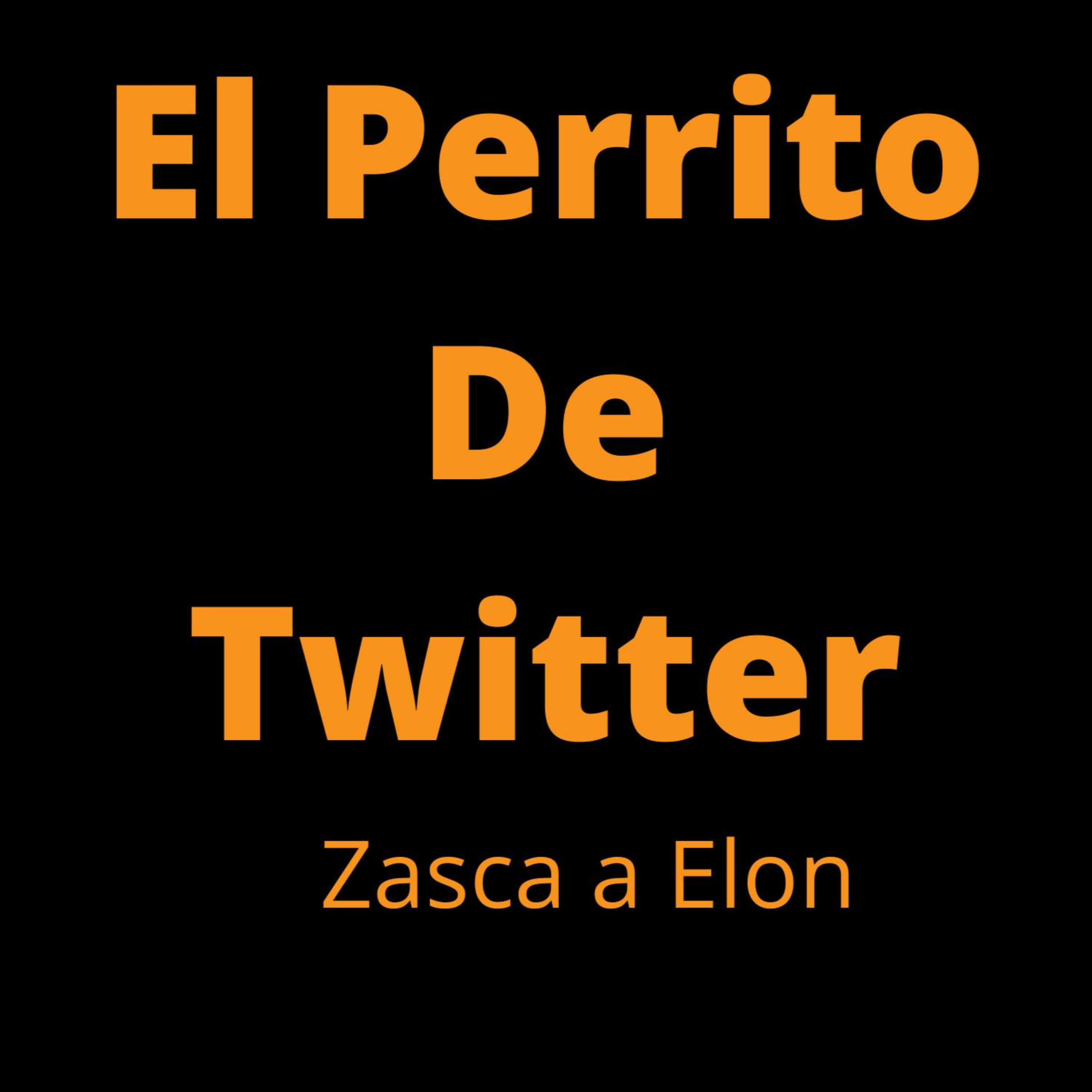 LA NUEVA CAGADA DE ELON