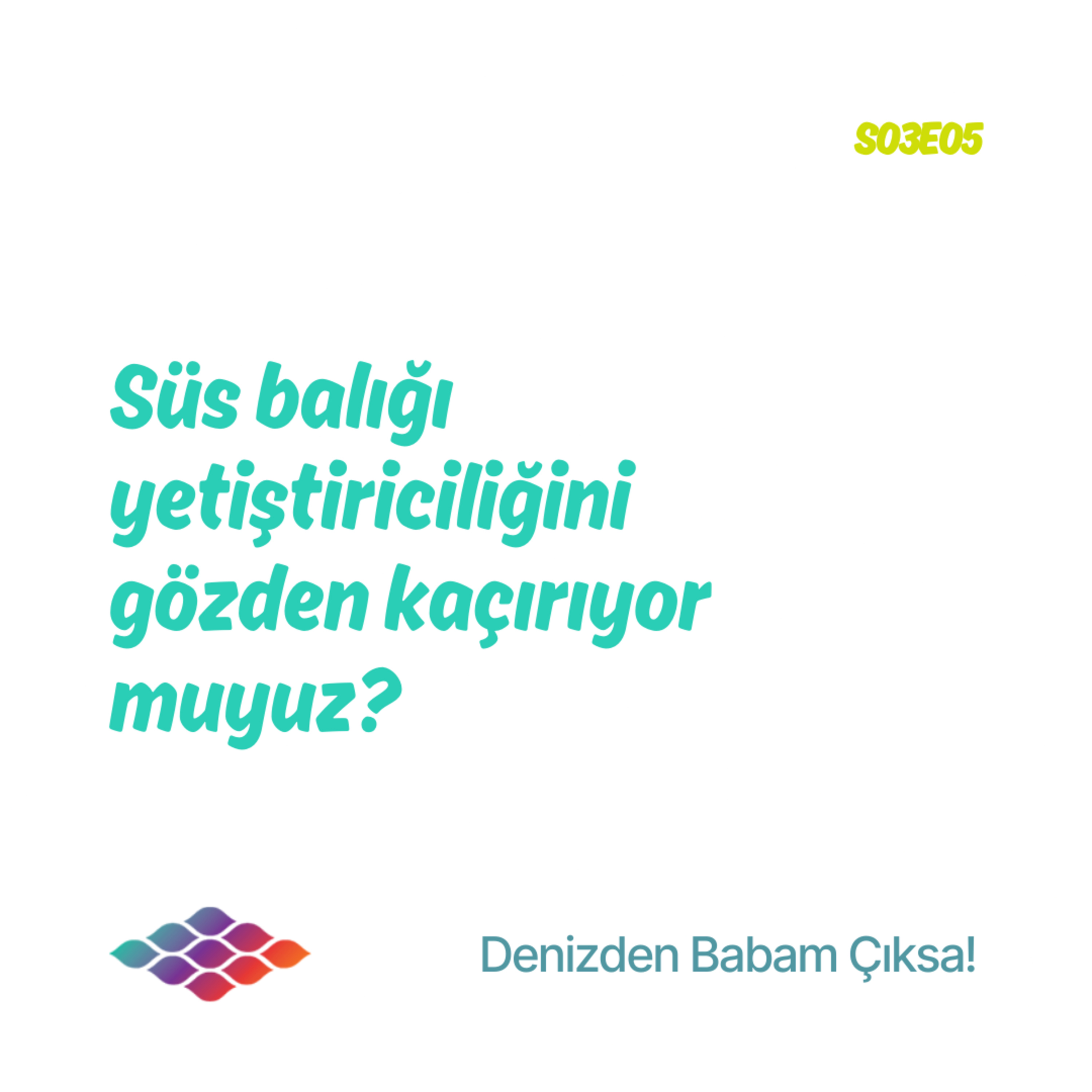 Süs balığı yetiştiriciliğini gözden kaçırıyor muyuz? - S04E05 episode artwork