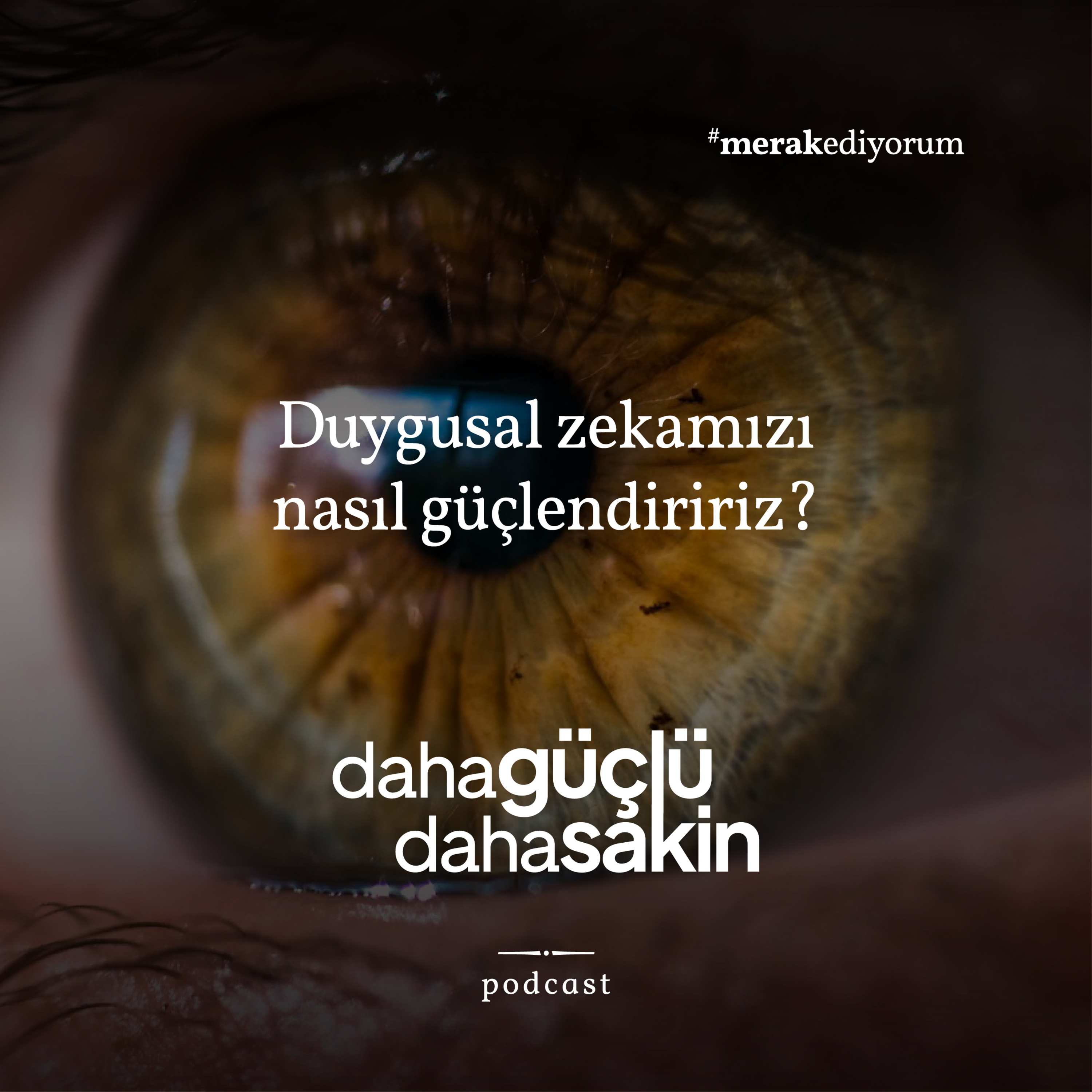 #duygusalzeka yı güçlendirmenin yolları neler? #meditasyon - S02E16 episode artwork