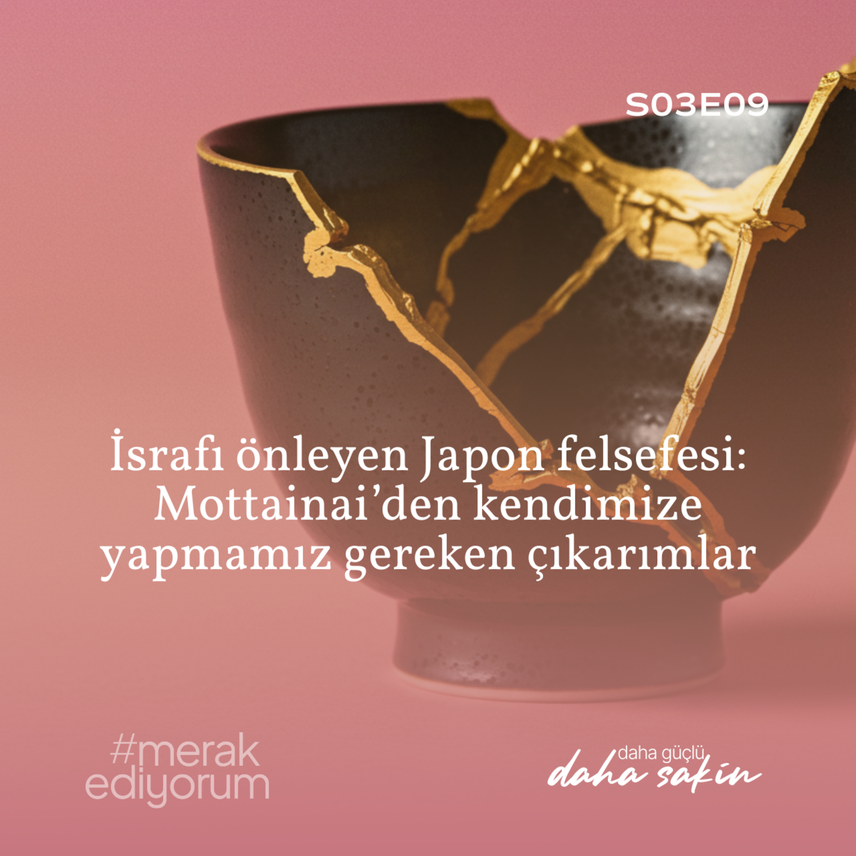 İsrafı önleyen Japon felsefesi: Mottainai’den kendimize yapmamız gereken çıkarımlar - S03E09 episode artwork