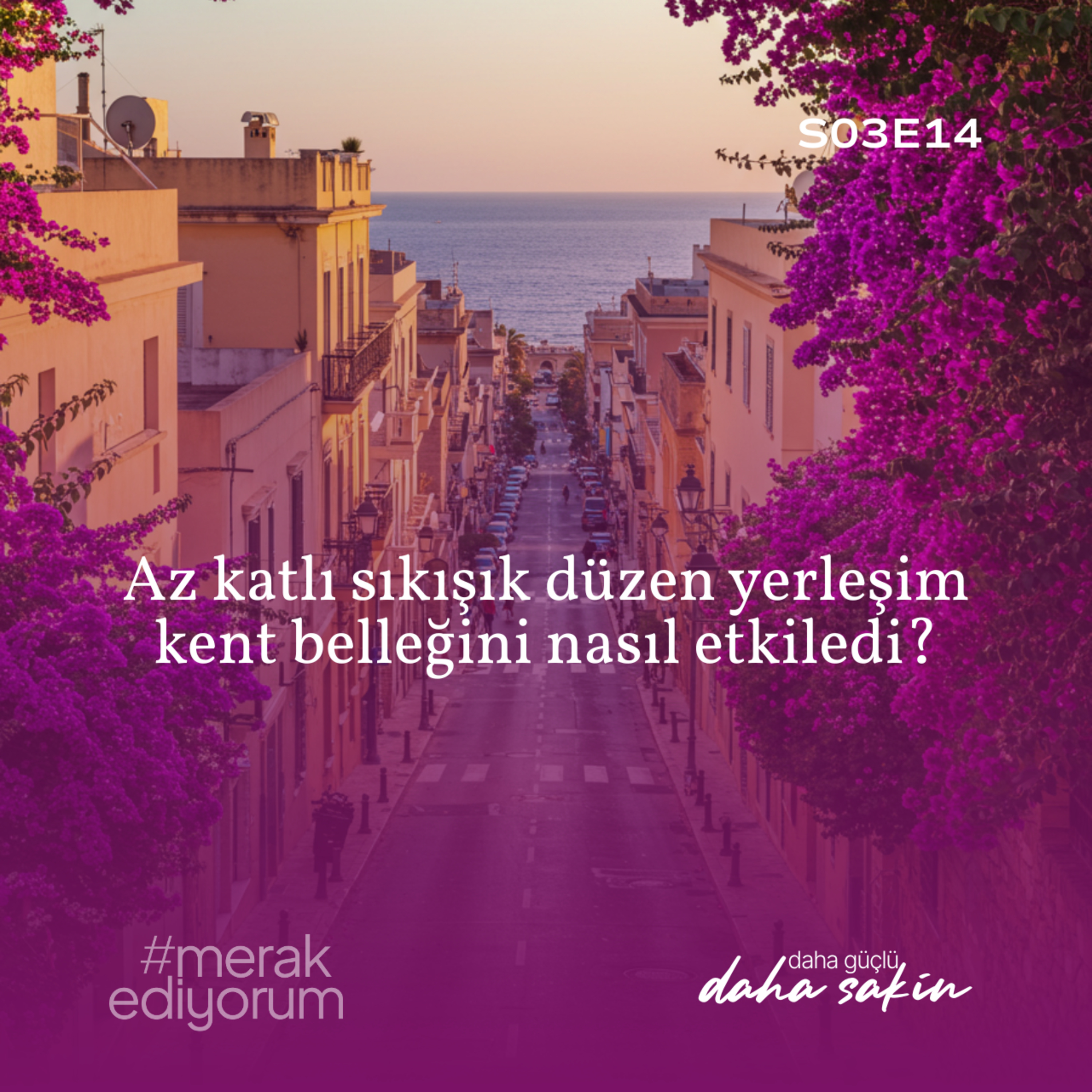 Az katlı sıkışık düzen yerleşim kent belleğini nasıl etkiledi? -S03E14 episode artwork
