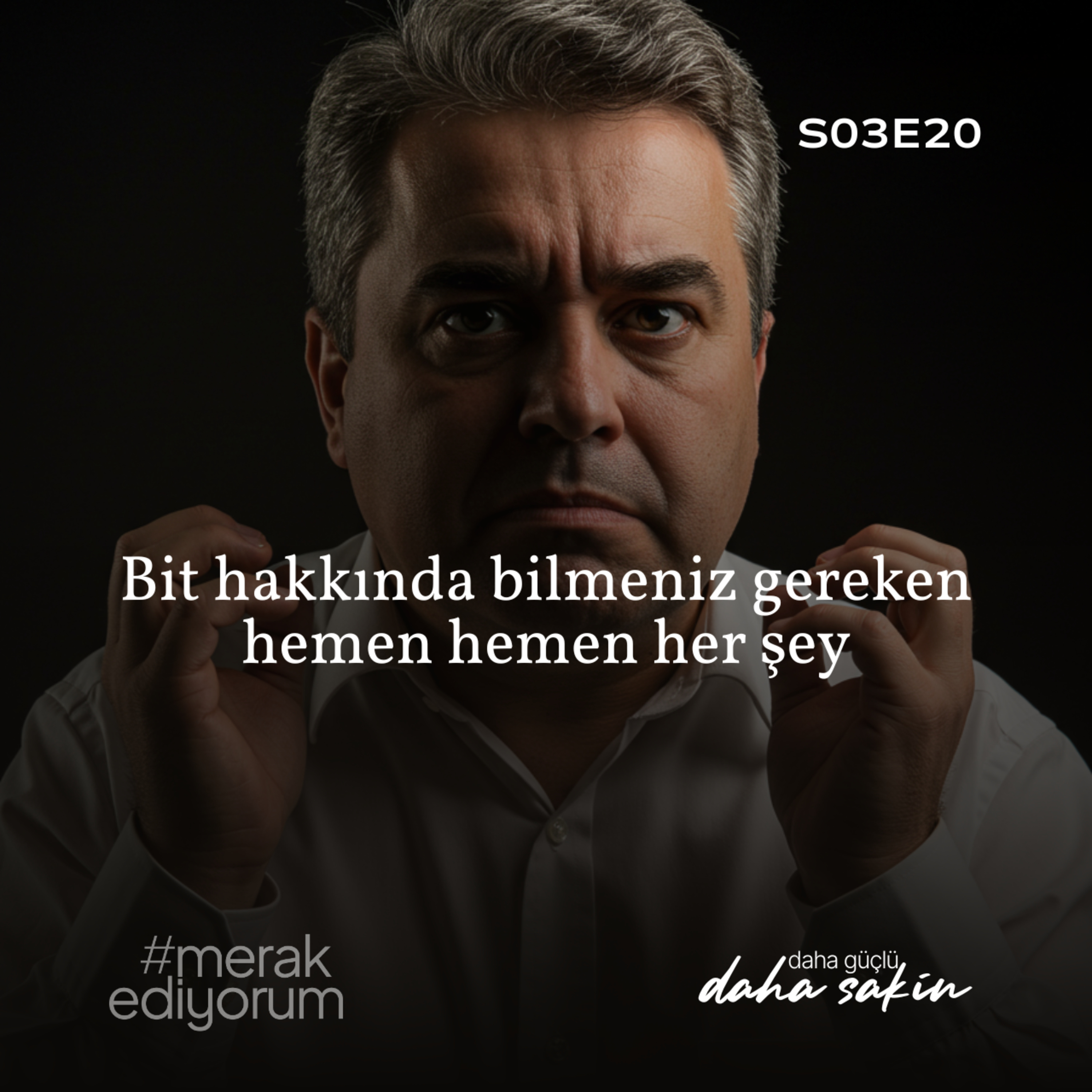 Bit hakkında bilmeniz gereken hemen hemen her şey - S03E20 episode artwork