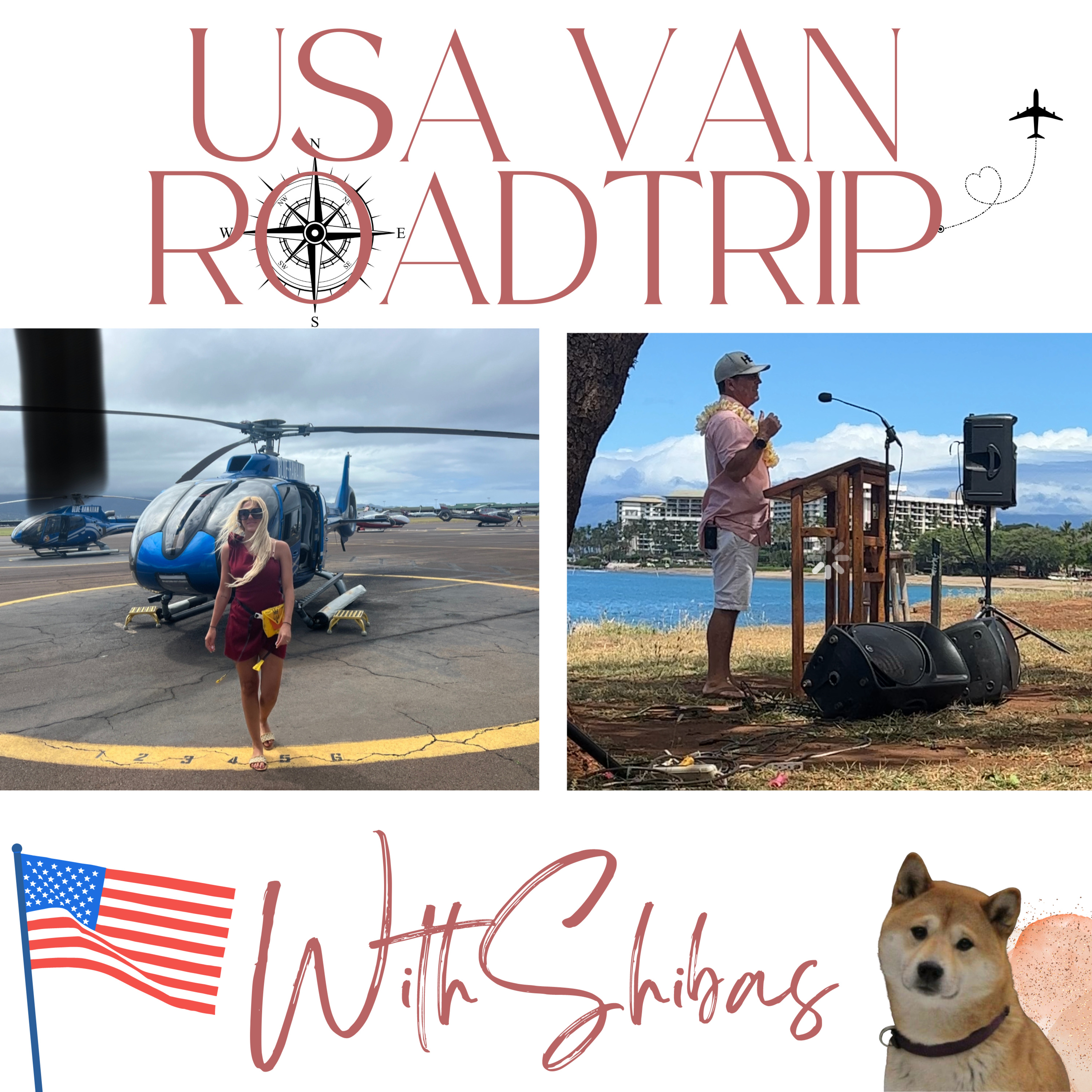 USA VAN ROADTRIP WITH SHIBAS