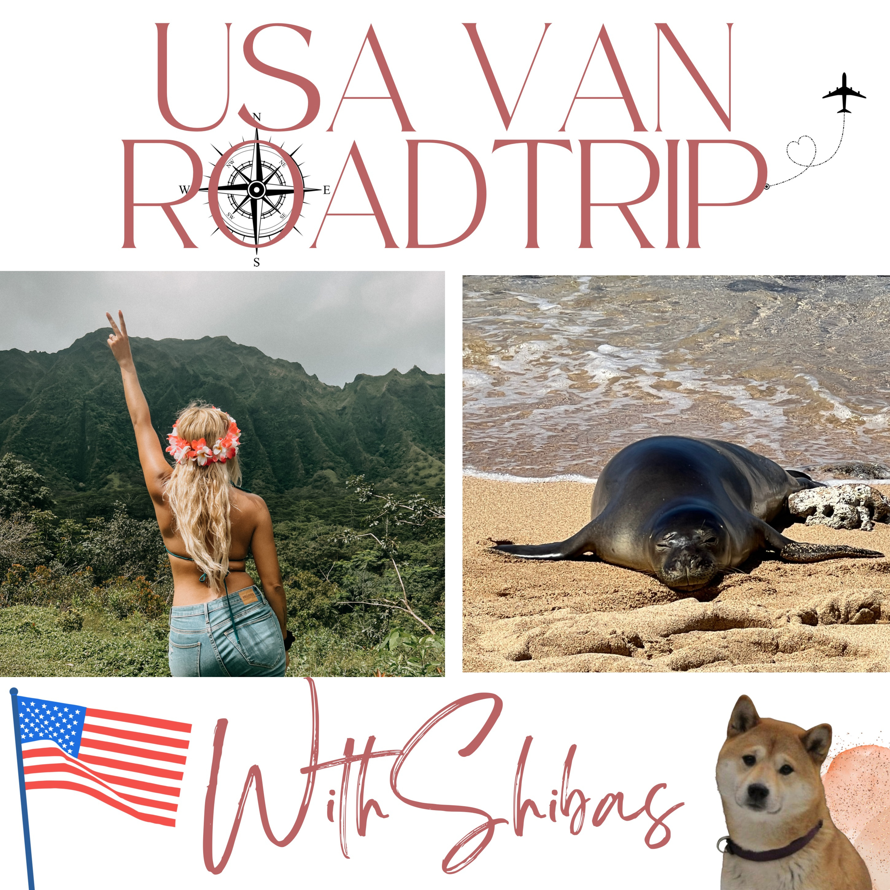 USA VAN ROADTRIP WITH SHIBAS