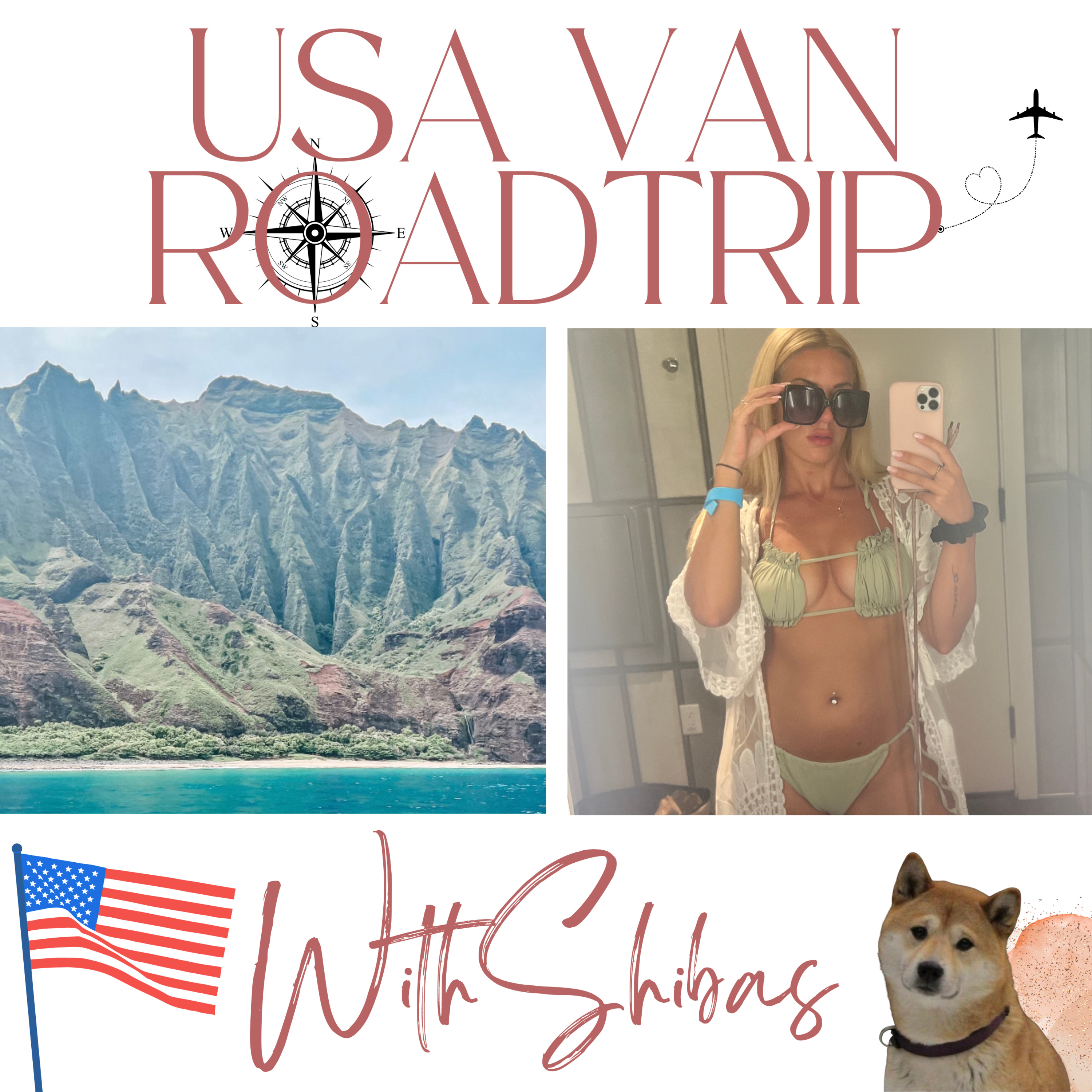USA VAN ROADTRIP WITH SHIBAS
