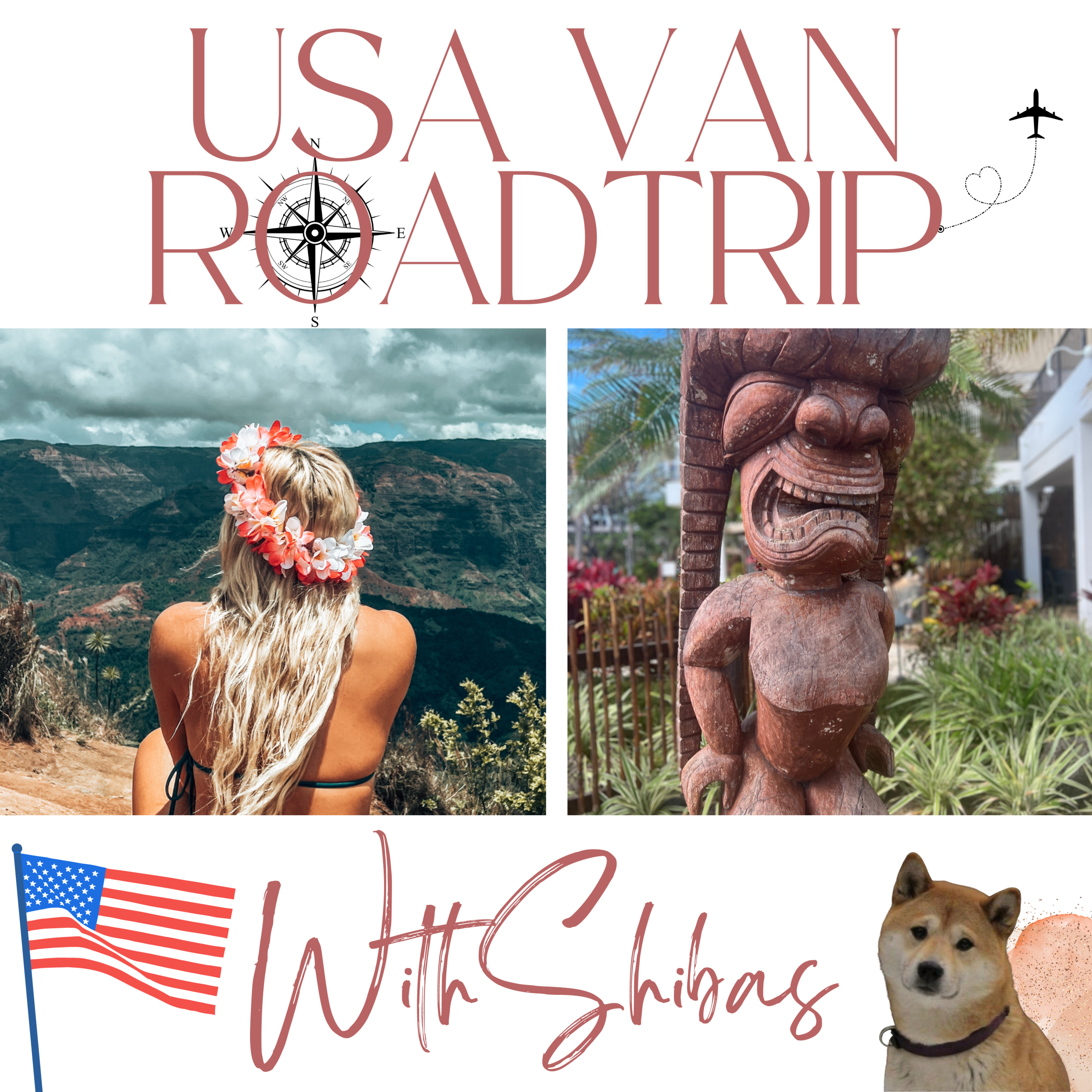 USA VAN ROADTRIP WITH SHIBAS