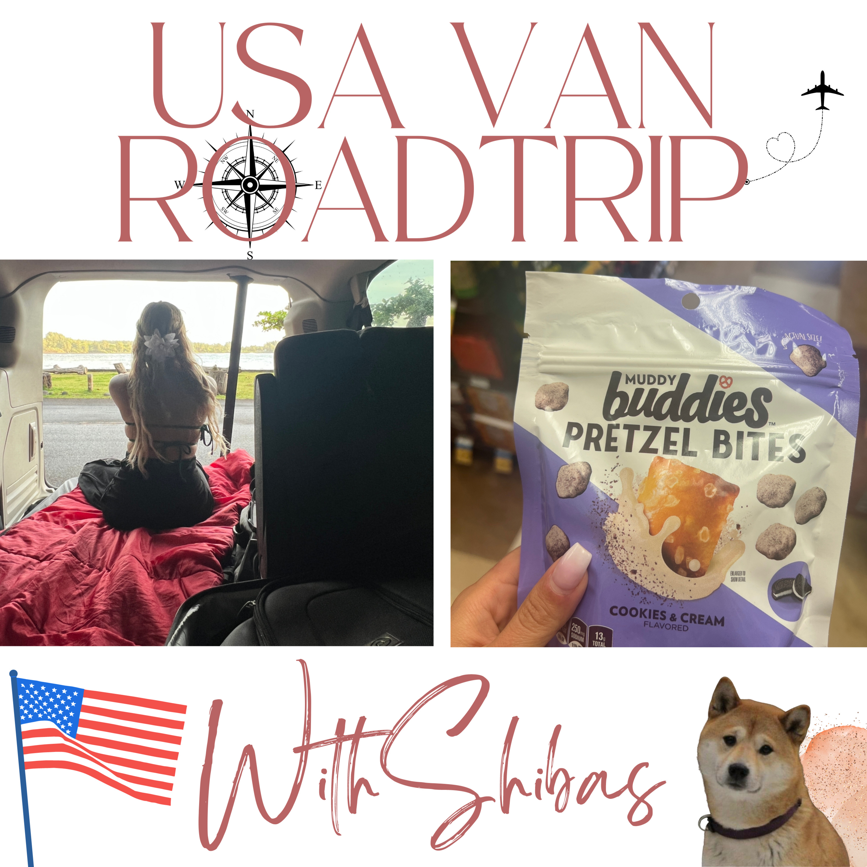 USA VAN ROADTRIP WITH SHIBAS
