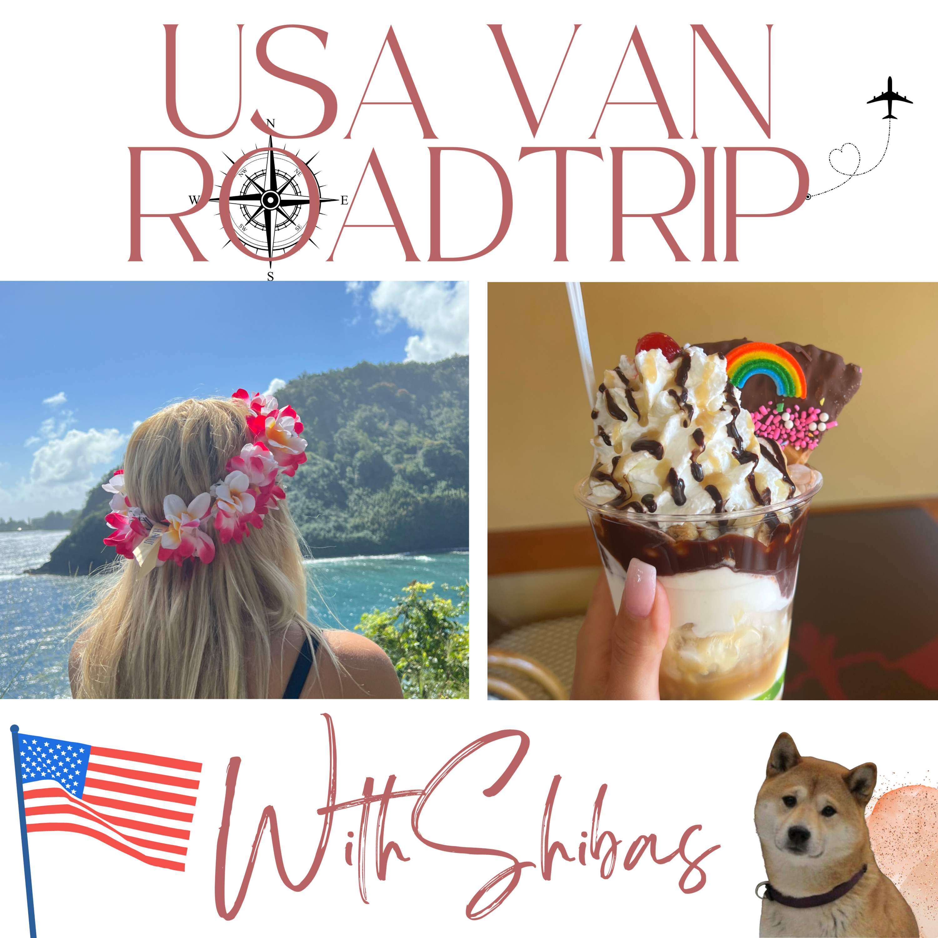 USA VAN ROADTRIP WITH SHIBAS