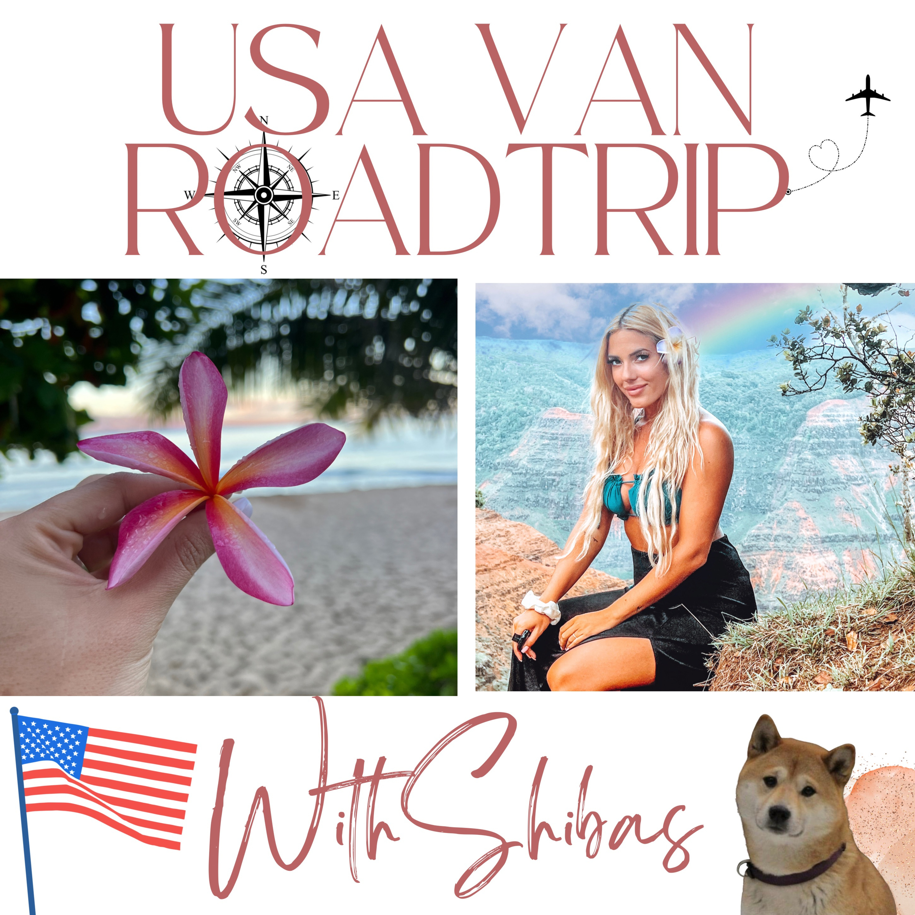 USA VAN ROADTRIP WITH SHIBAS