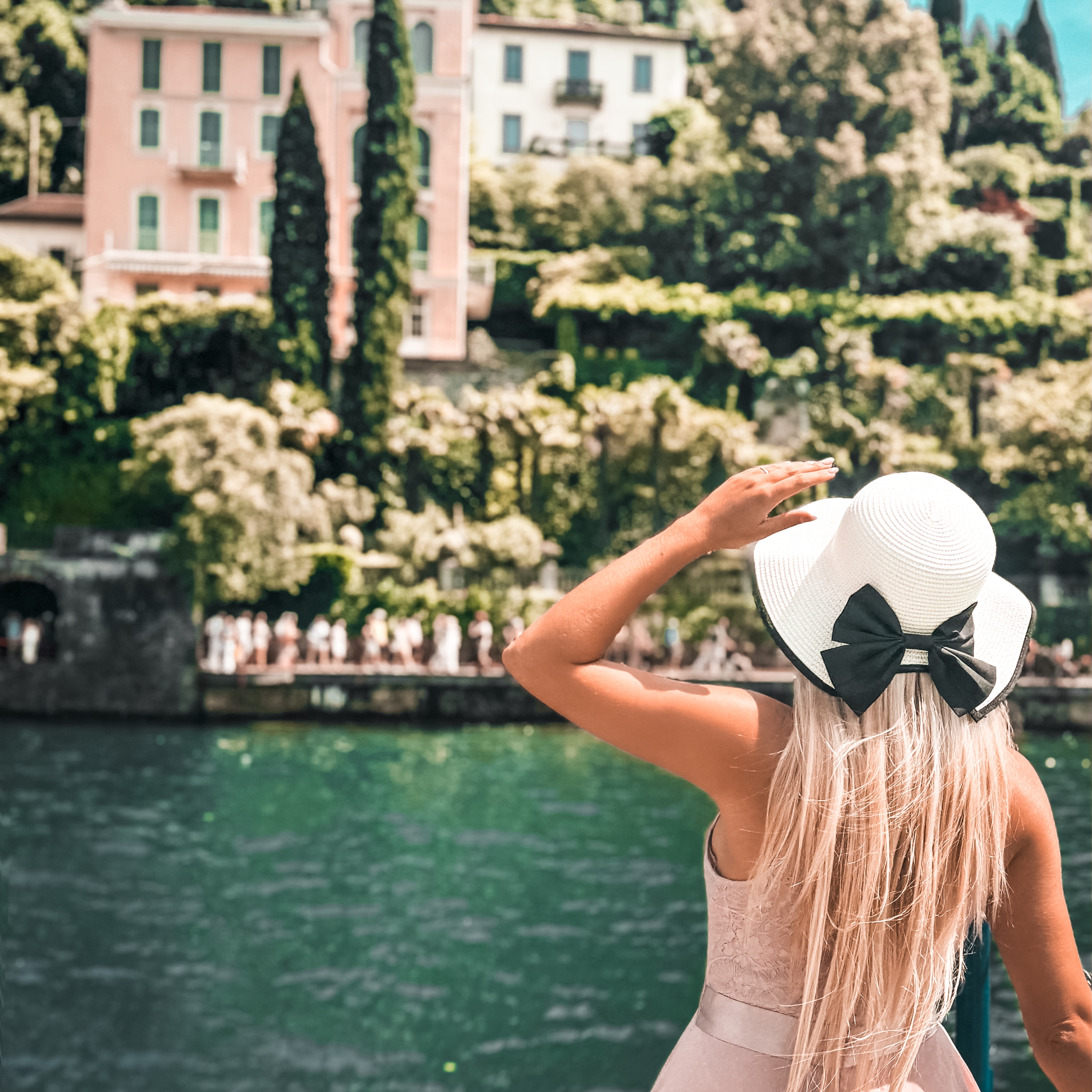 USA VAN ROADTRIP WITH SHIBAS