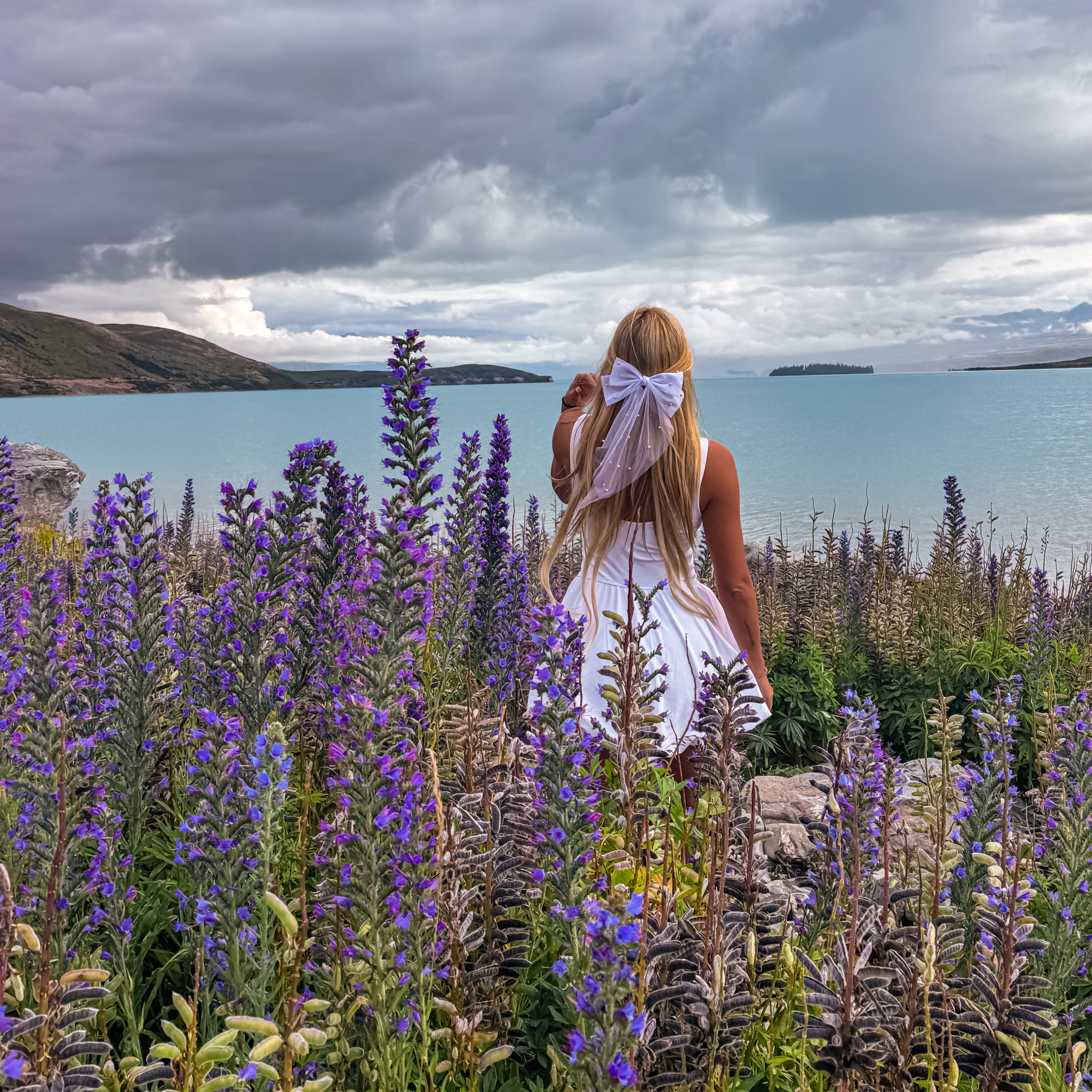 110. NEW ZEALAND (ENGLISH) CHRISTCHURCH – LAKE TEPAKO – VAN ROADTRIP –