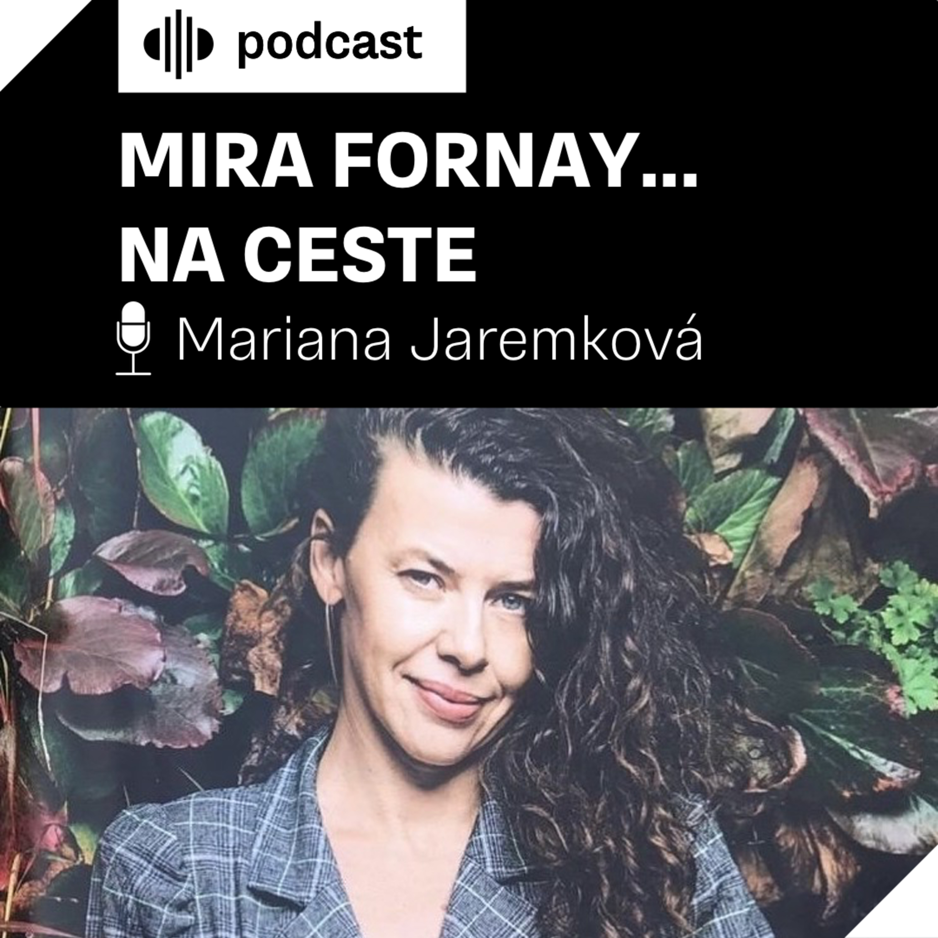 Mira Fornay... na ceste episode artwork