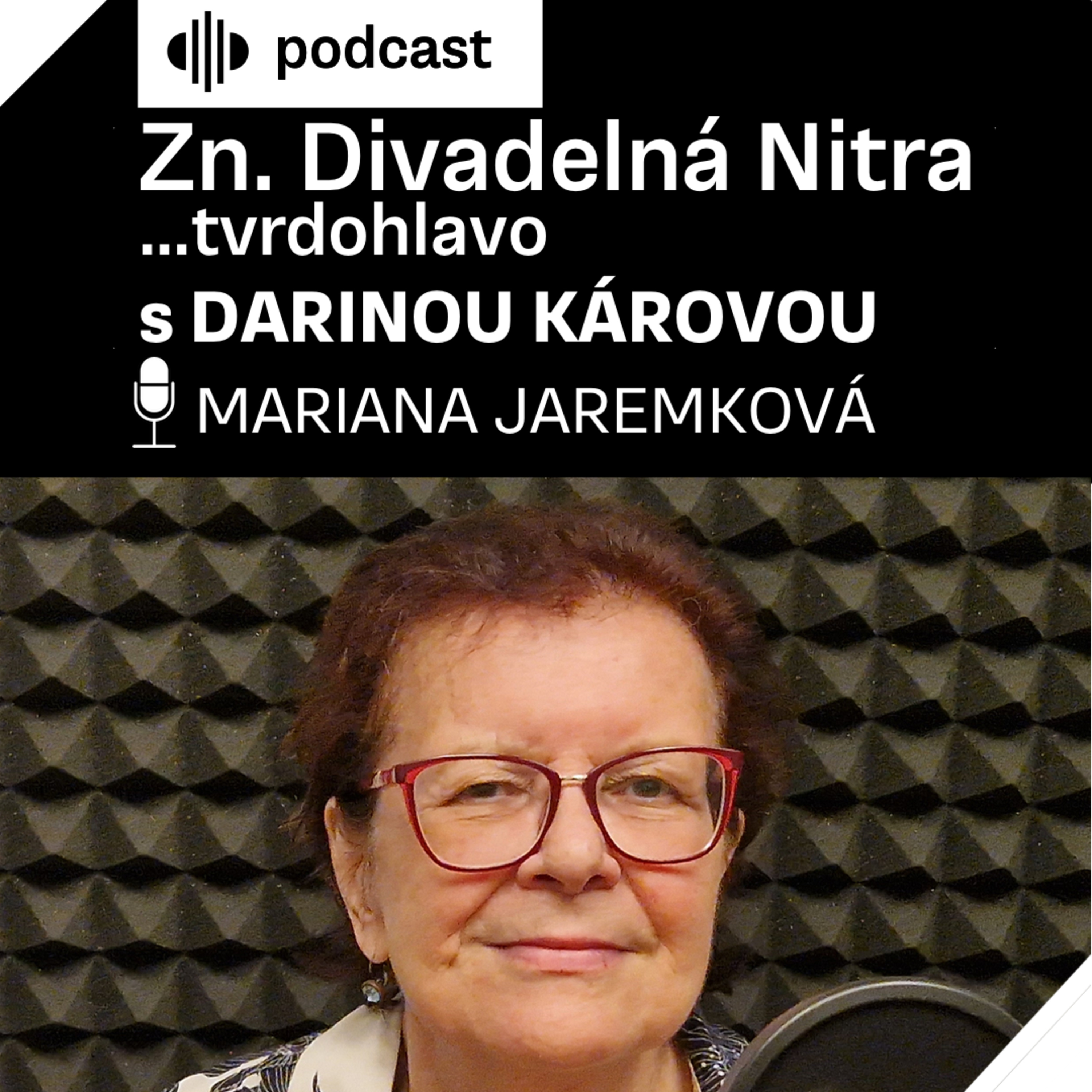 Zn. Divadelná Nitra… tvrdohlavo s Darinou Károvou episode artwork