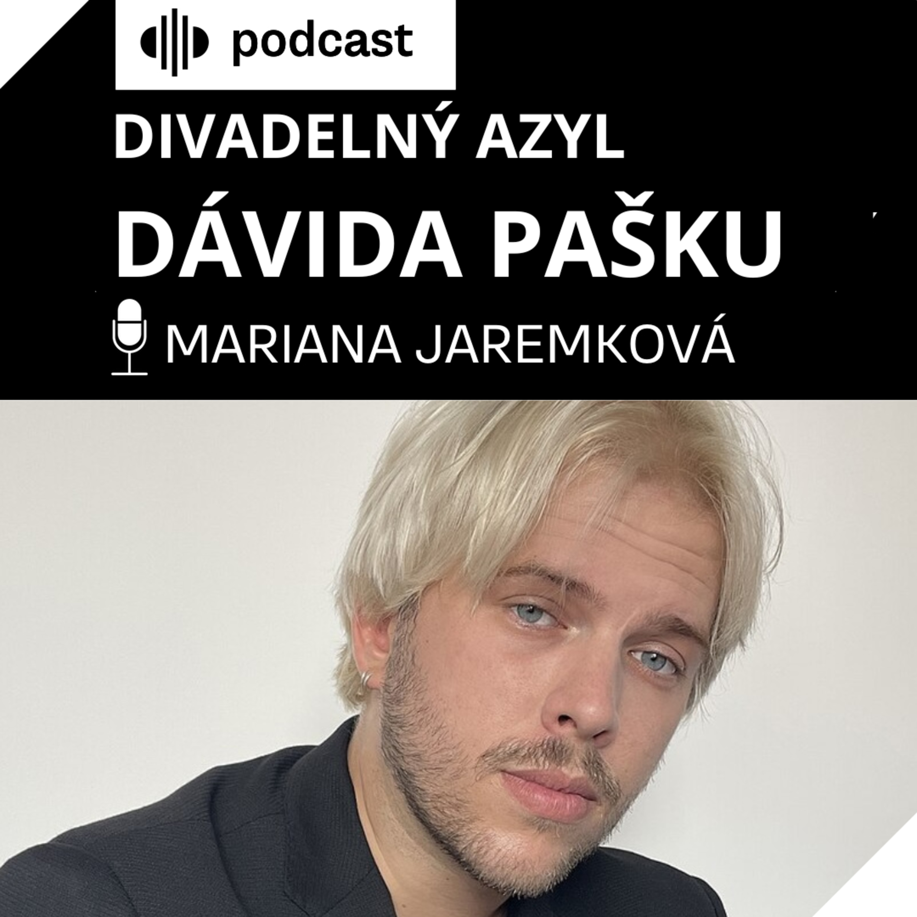 Divadelný azyl Dávida Pašku episode artwork
