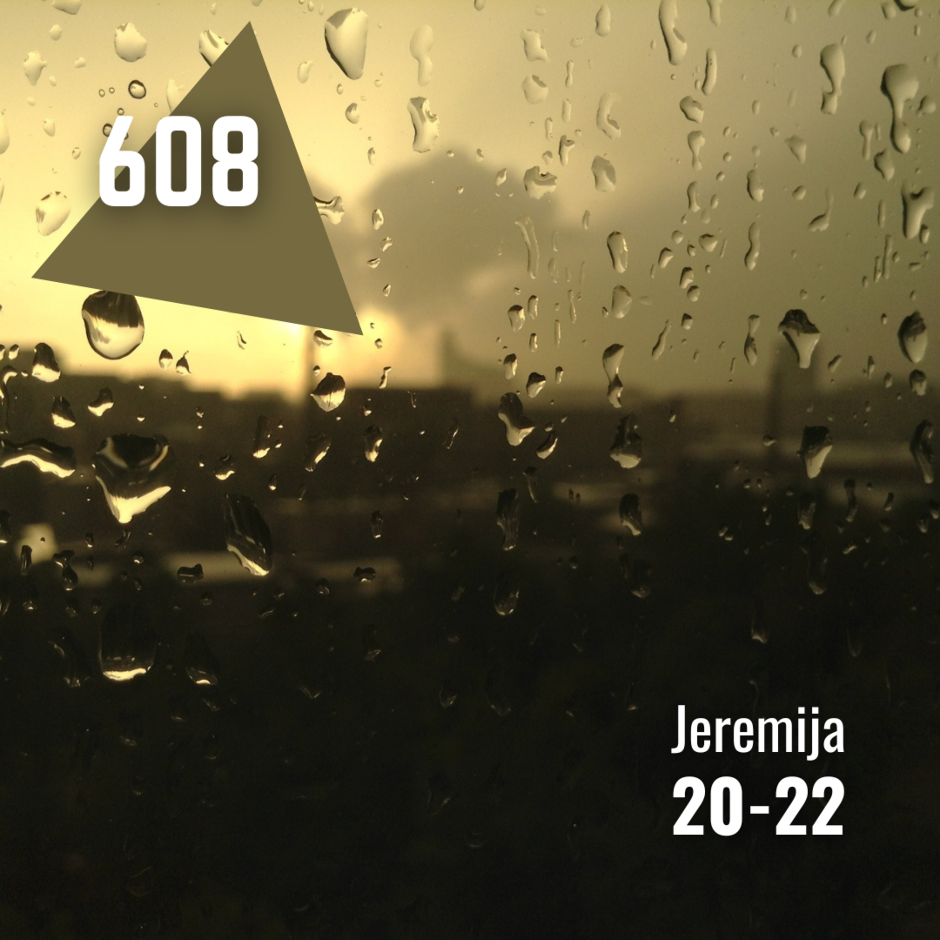 608 Jeremija 20-22