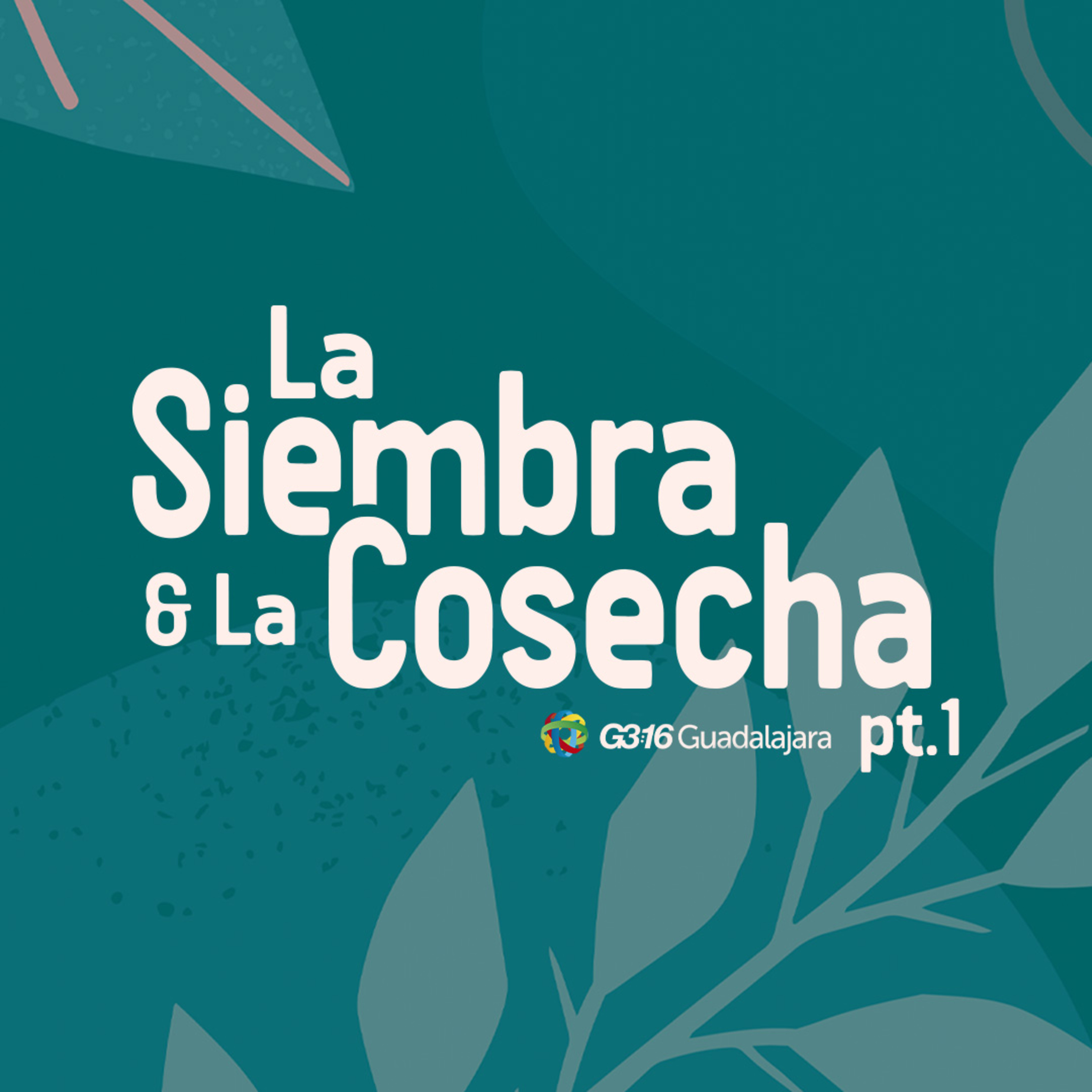 Portada de G316 Guadalajara Podcast