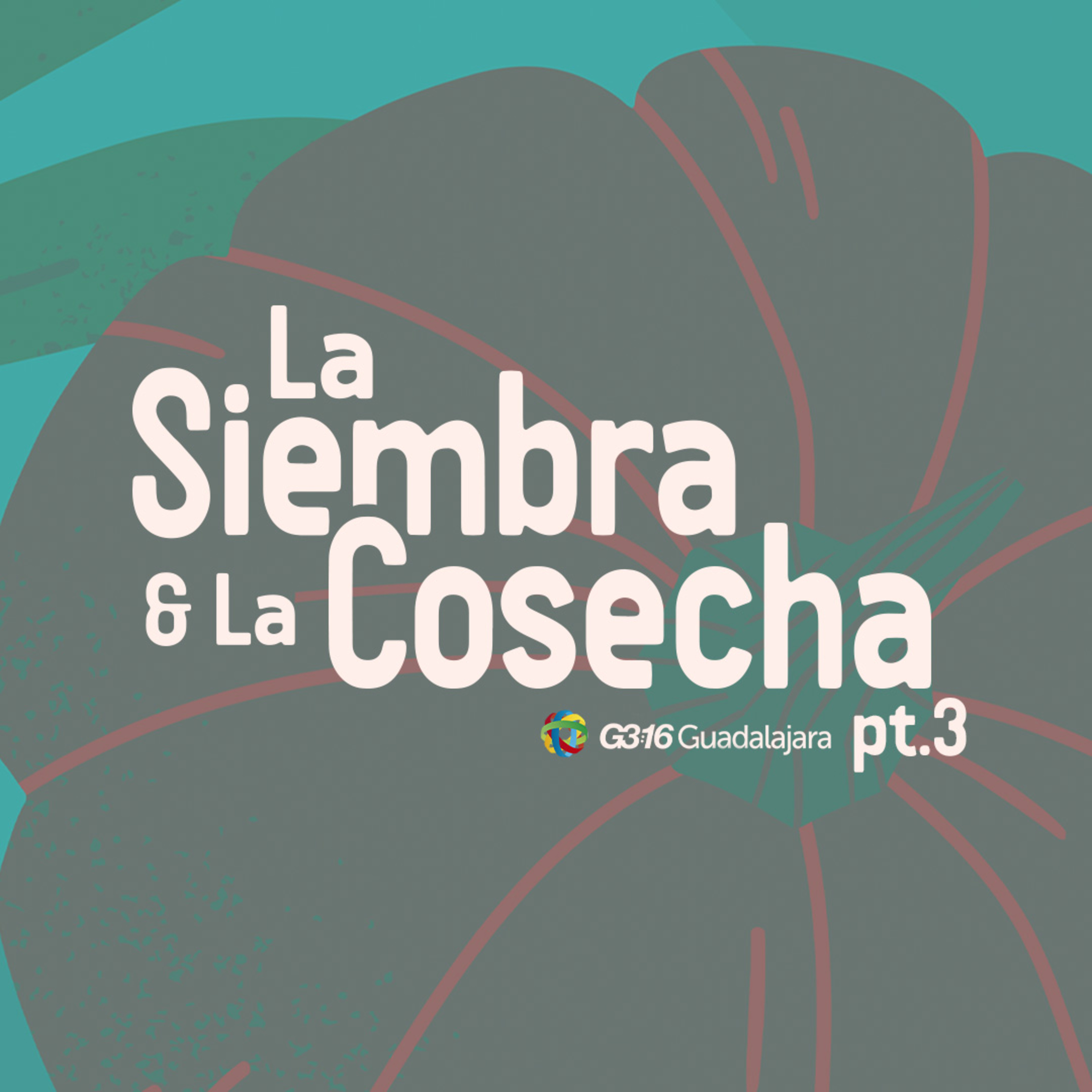 Portada de G316 Guadalajara Podcast