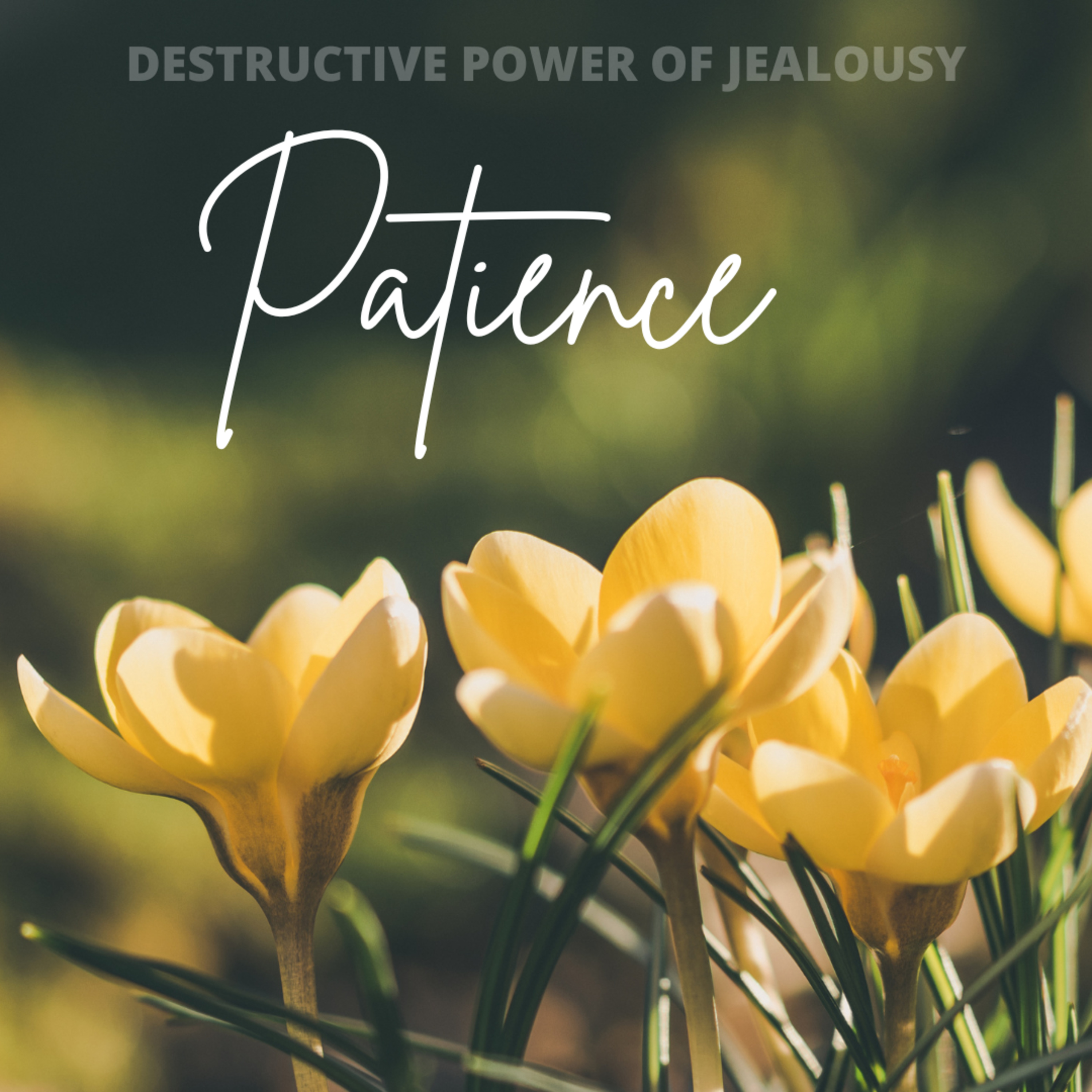 Patience DPJ