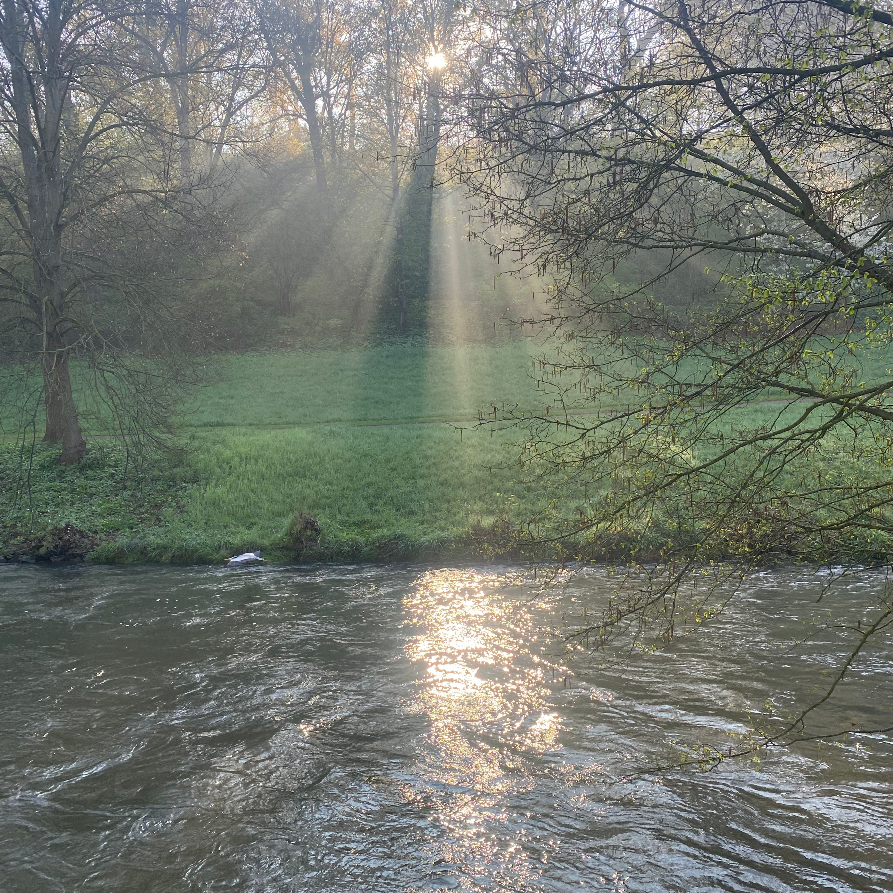 Cora Irsen-Meditation and spiritual talk by Cora