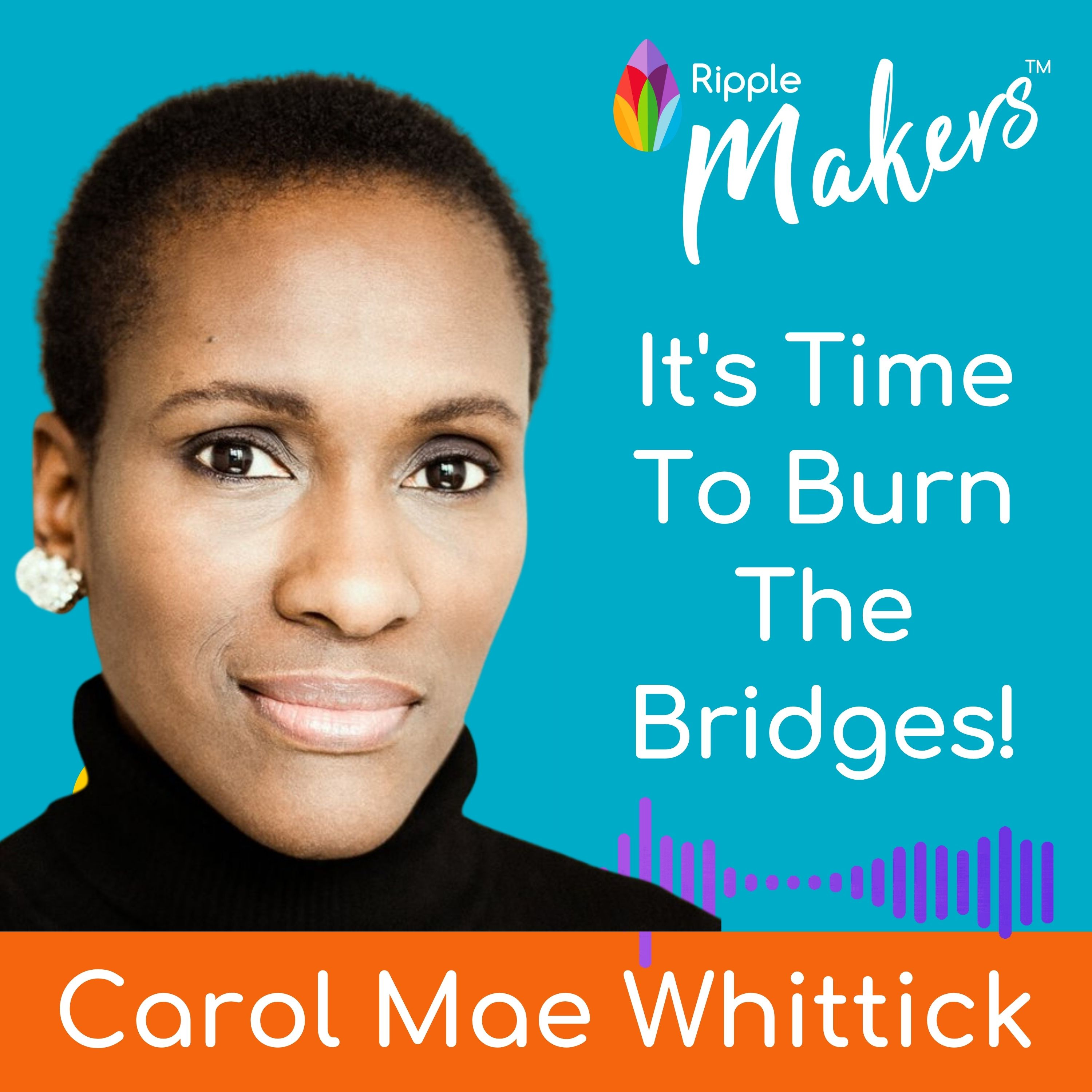 Ripple Makers - What Change Makers Do When The Sh*t Hits The Fan!