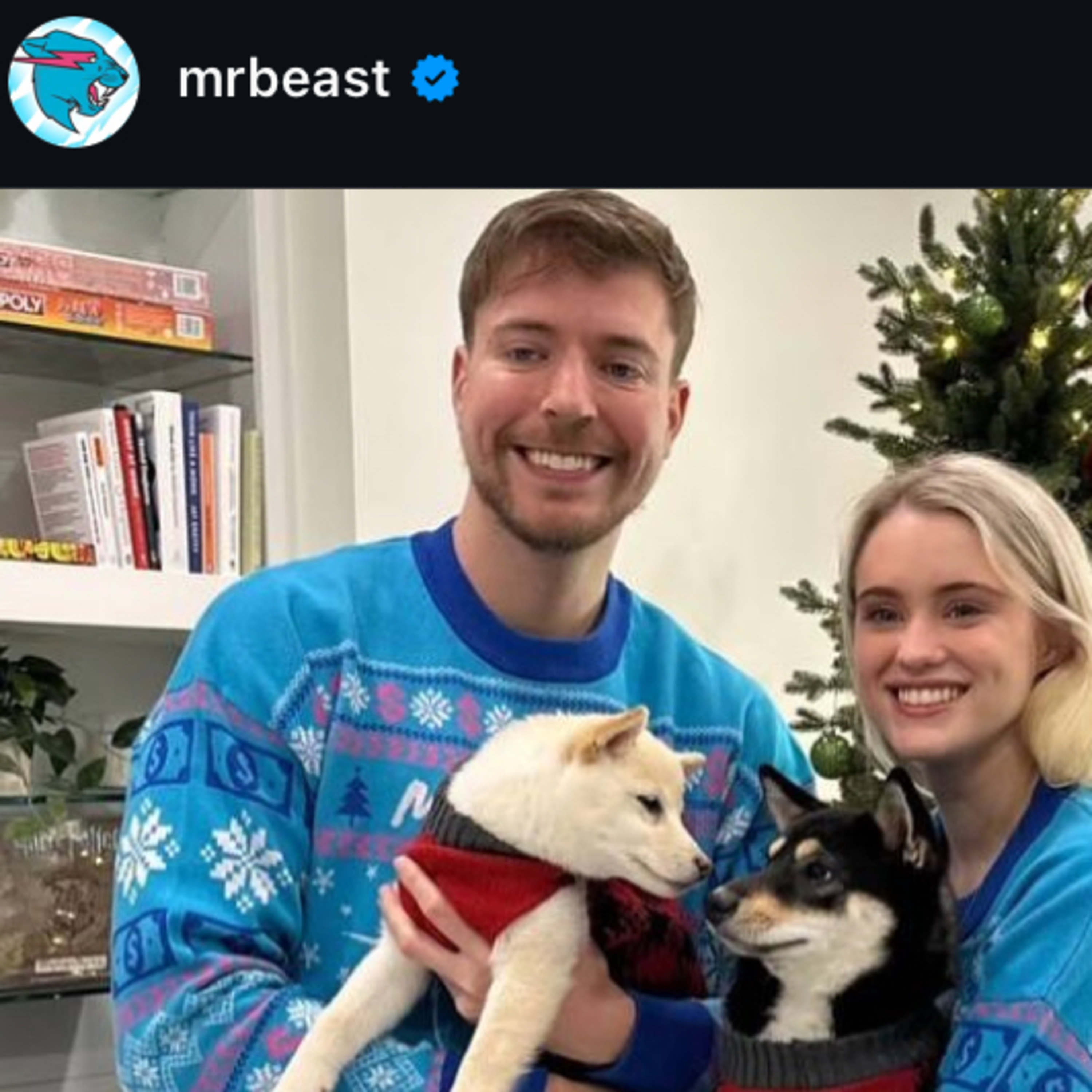 Mr beasts wedding episode artwork