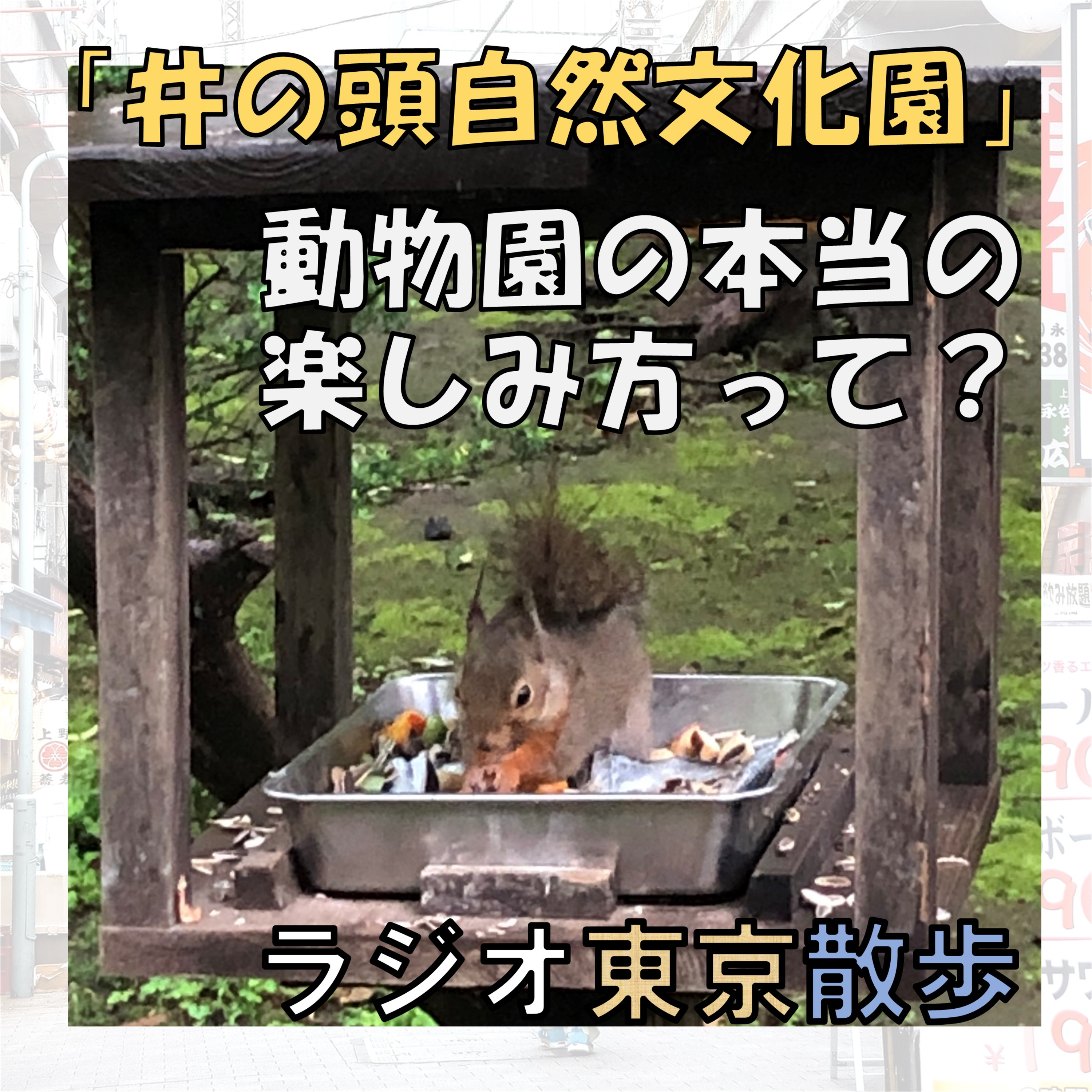 動物以外にもたくさんの見どころが・・・『井の頭自然文化園』の魅力を紹介します(本園編) episode artwork