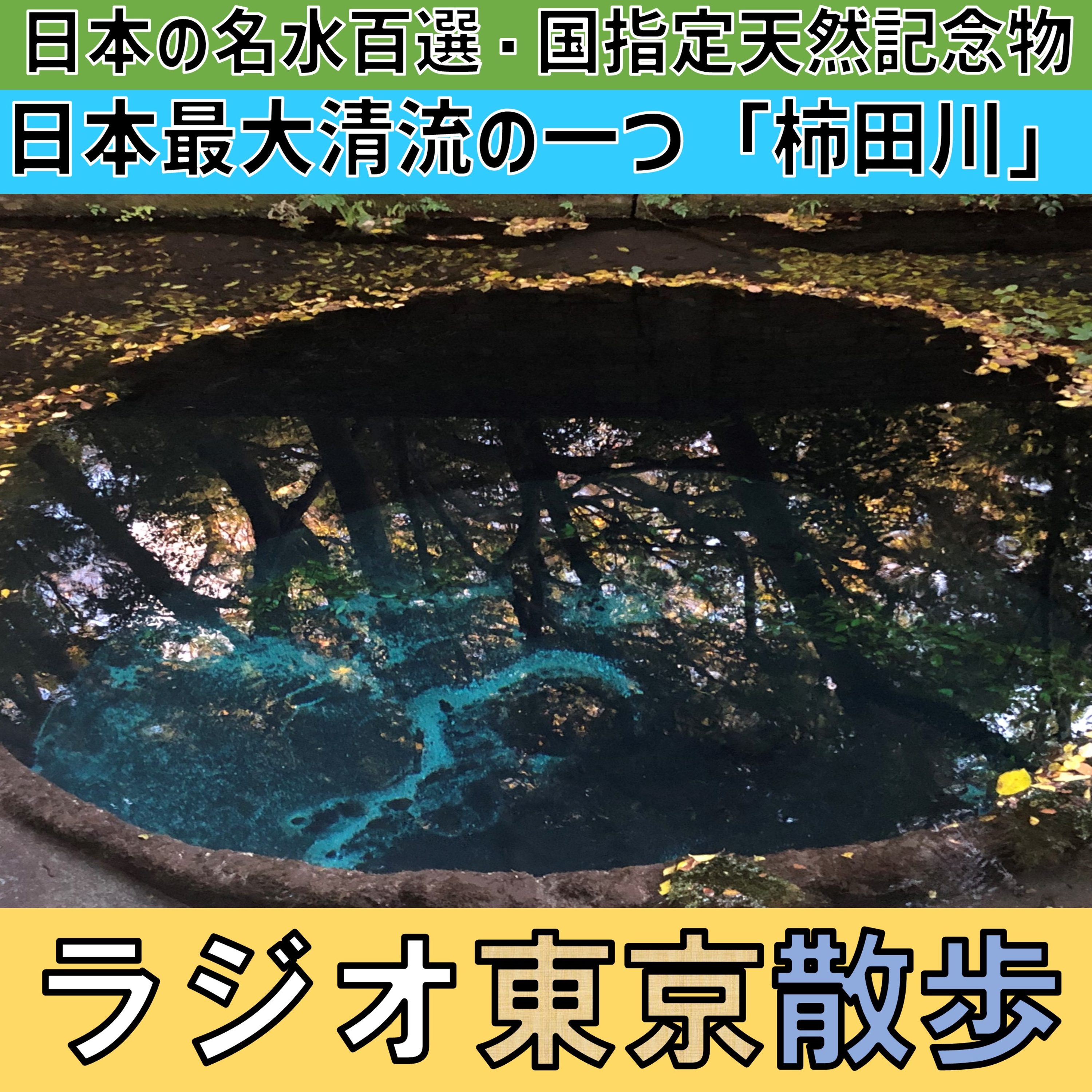 【ビデオポッドキャスト】日本三大清流の一つ「柿田川」の美しさにおもわず言葉を失いました episode artwork