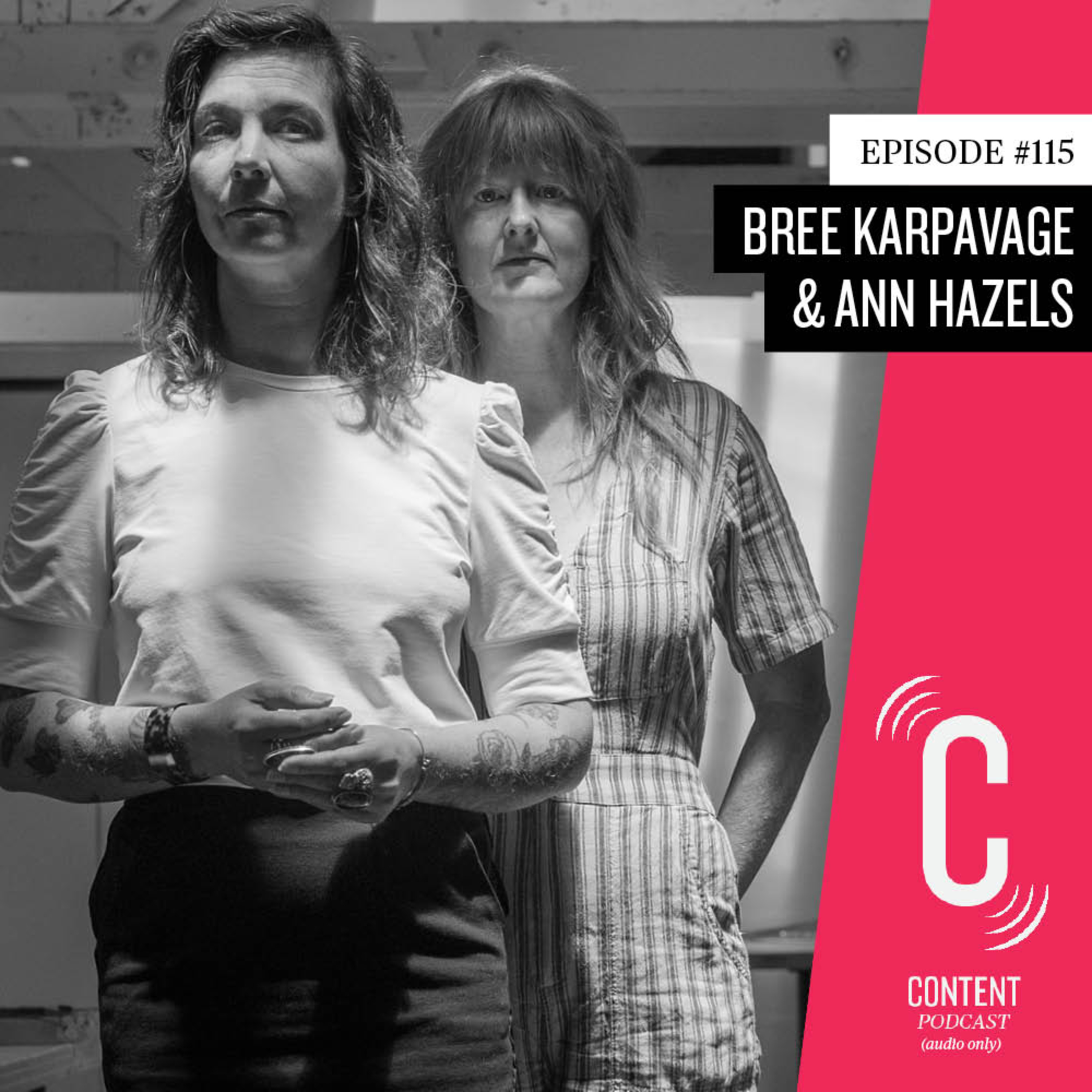 Episode #115 - Bree Karpavage of First Friday Santa Cruz and Ann Hazels of Radius Gallery  episode artwork