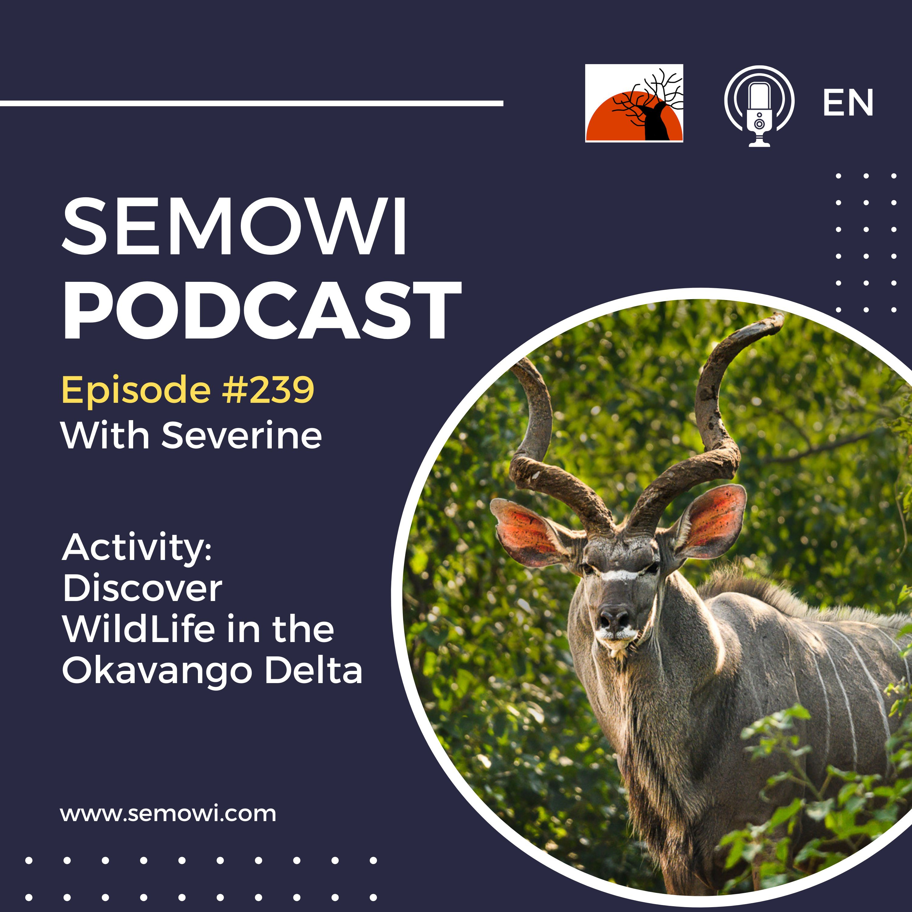 Activity: Discover Wildlife in the Okavango Delta