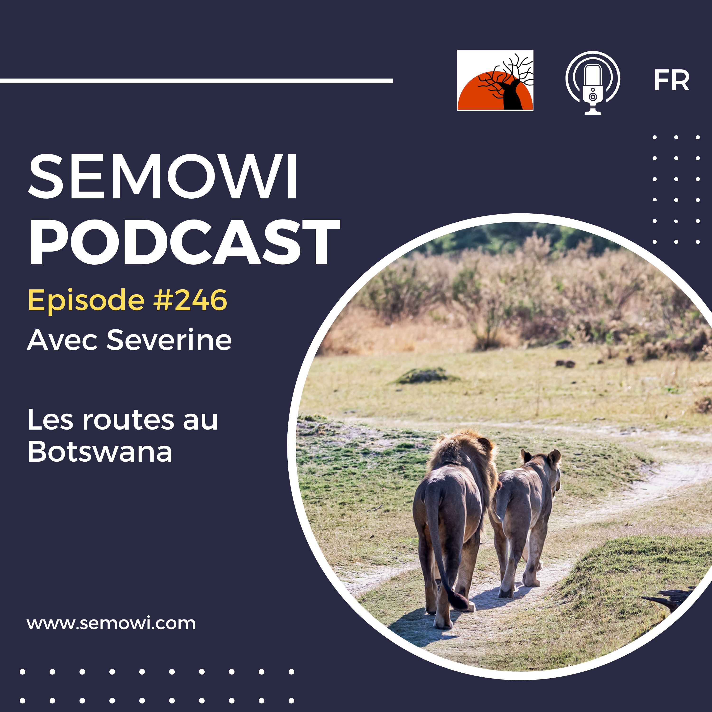 Routes au Botswana
