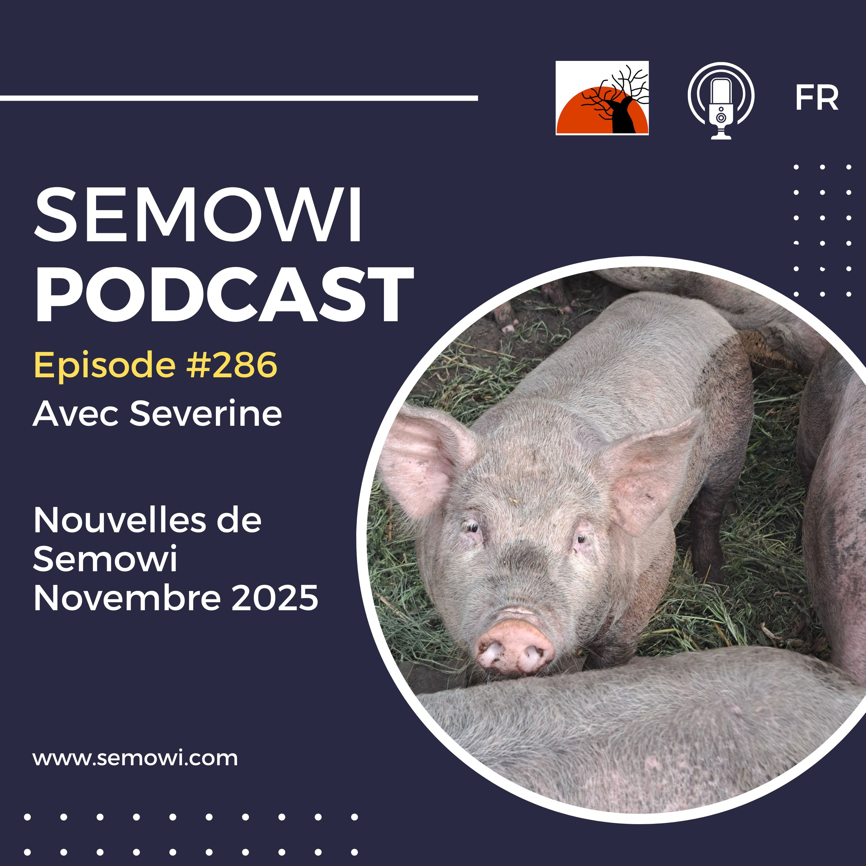 Semowi Podcast
