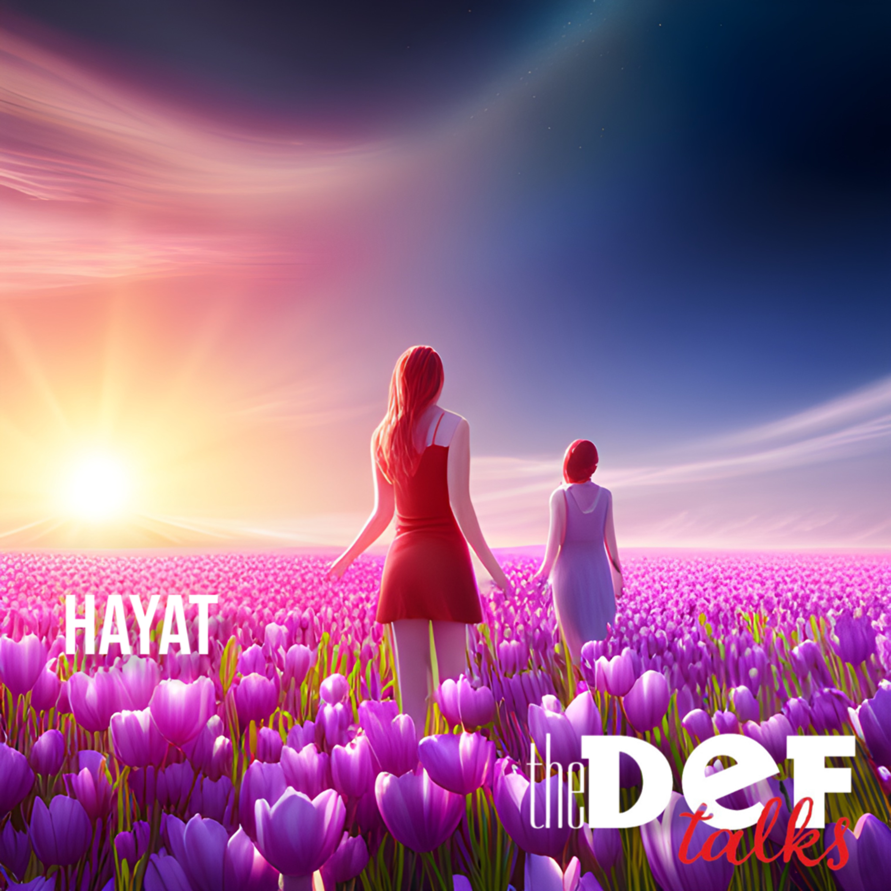 Hayat episode artwork