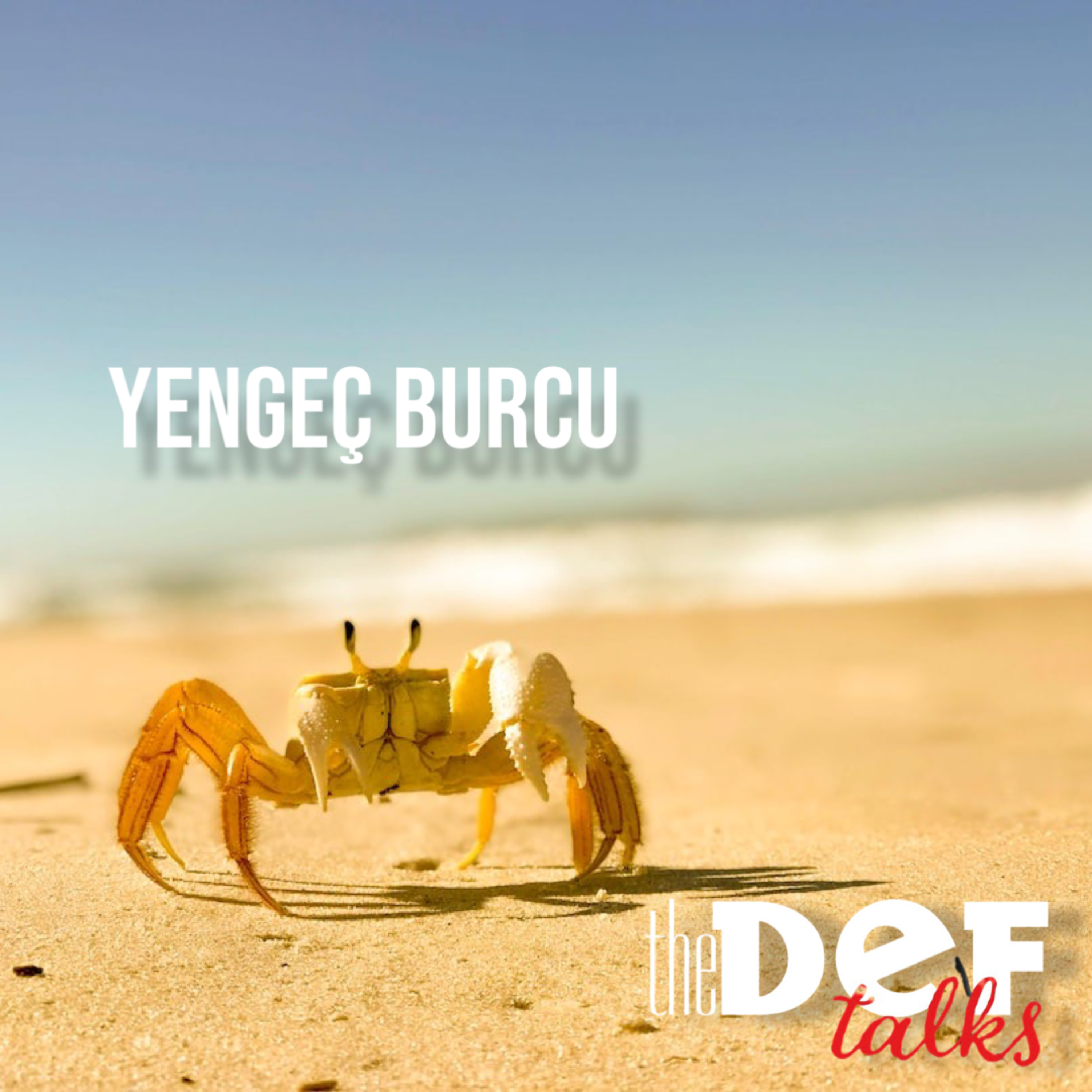 Yengeç Burcu episode artwork