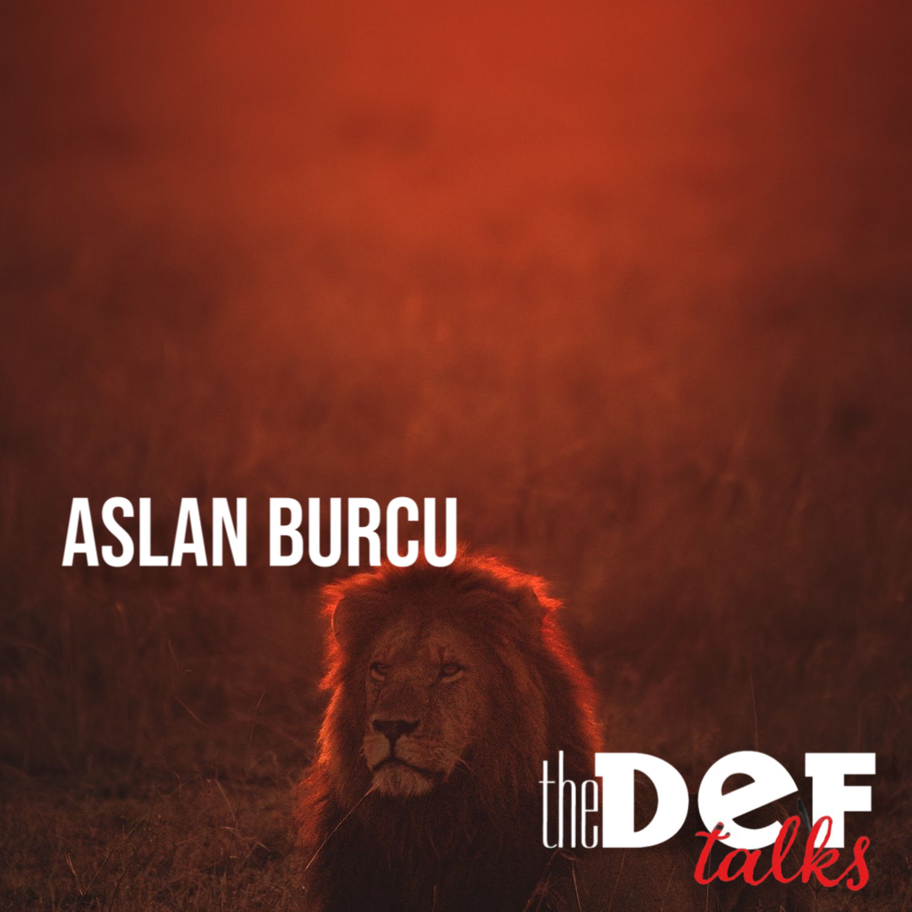 Aslan Burcu episode artwork