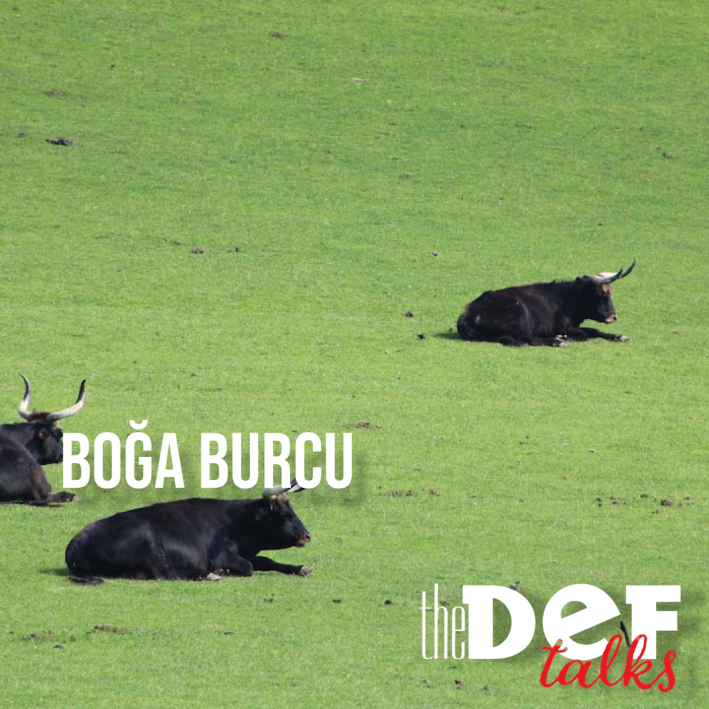 Boğa Burcu episode artwork
