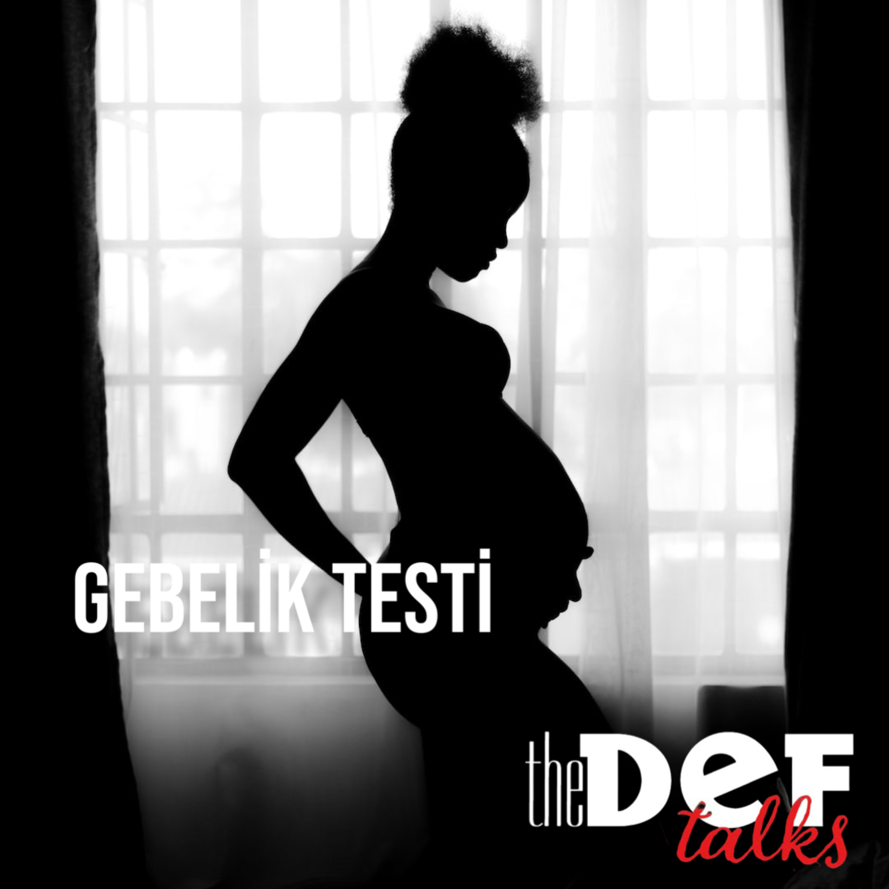 Gebelik Testi episode artwork