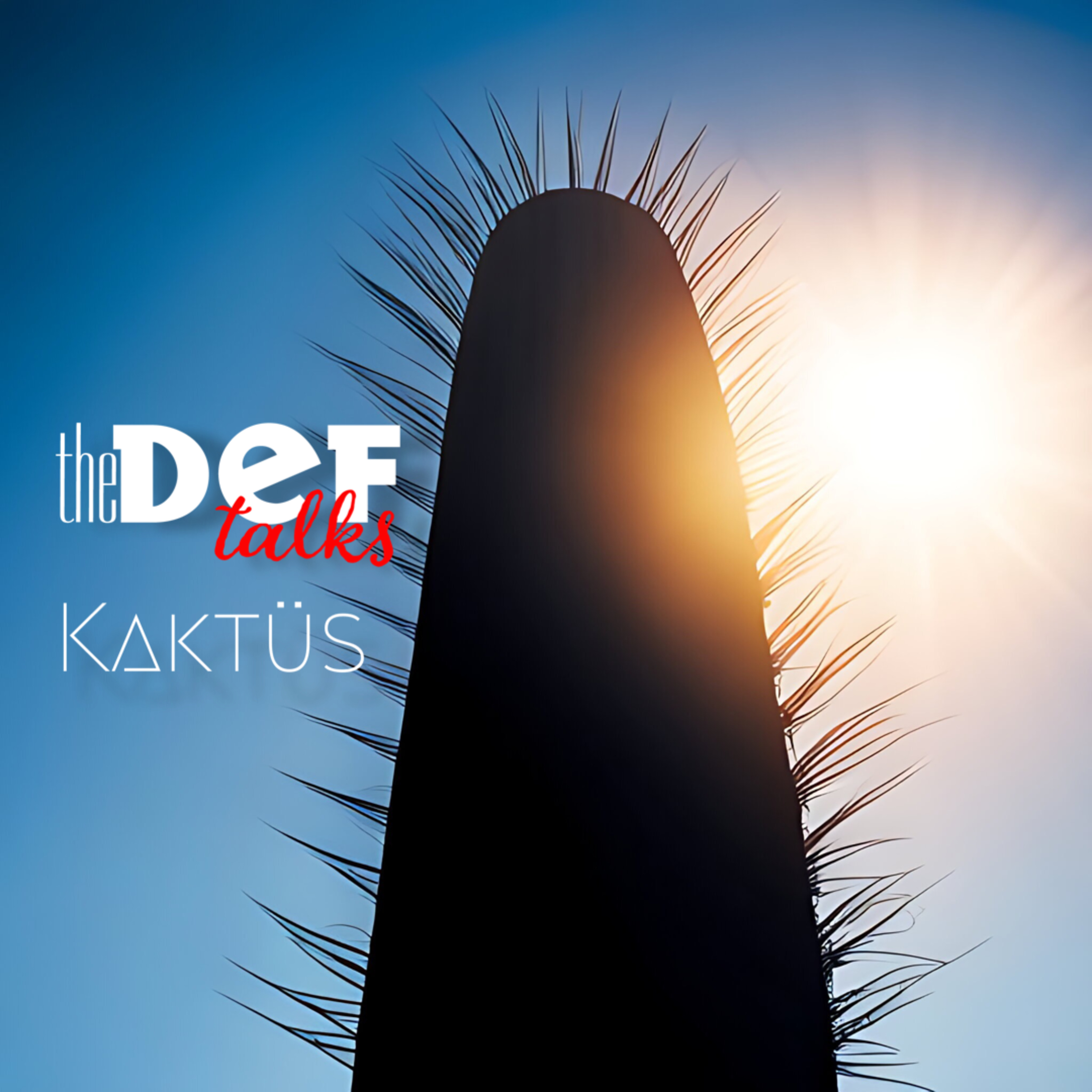 Kaktüs episode artwork
