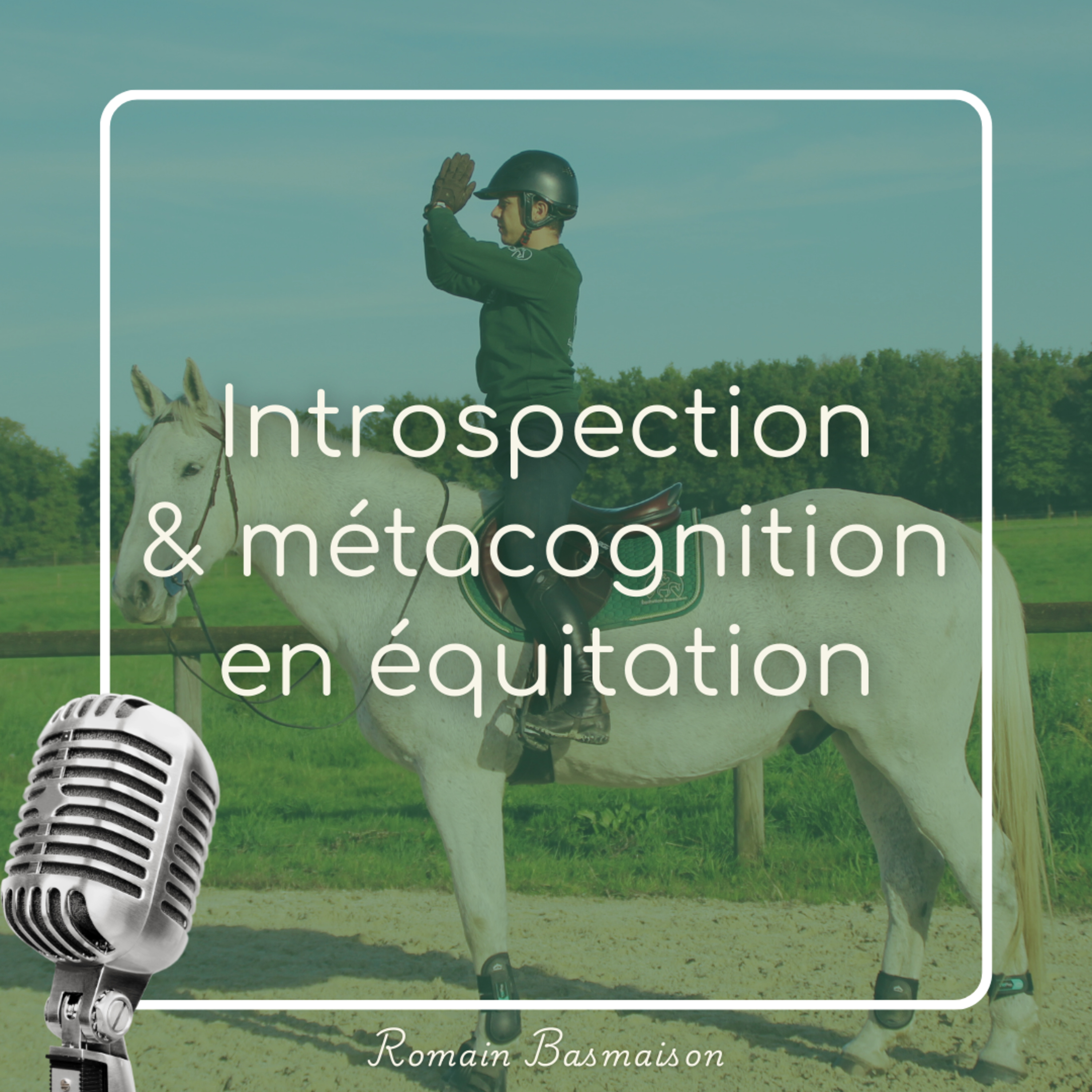 Introspection et métacognition en équitation episode artwork