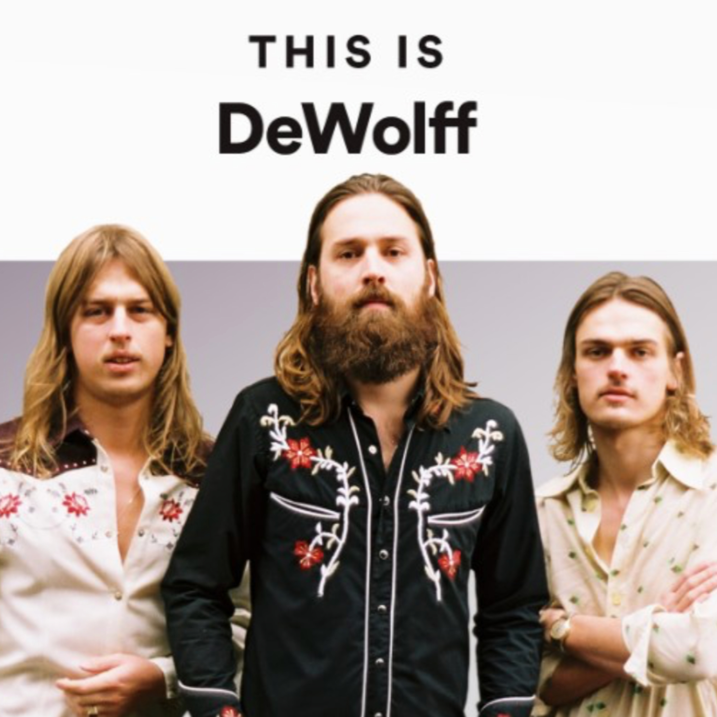 Backstage Meeting DeWolff The Best Band You Have Never Hear Of  episode artwork