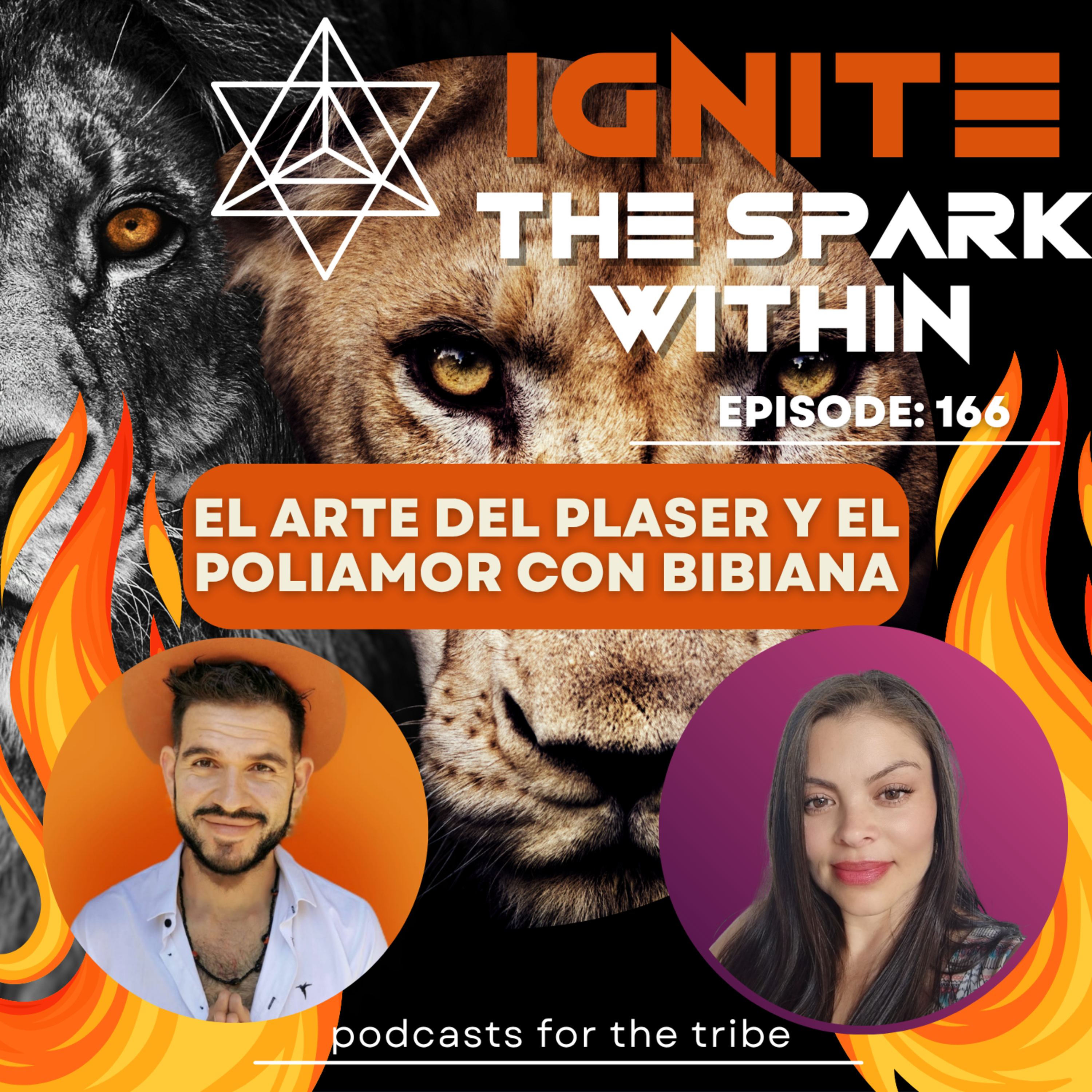 El Arte del PlaSer, Poliamor y Responsabilidad episode artwork