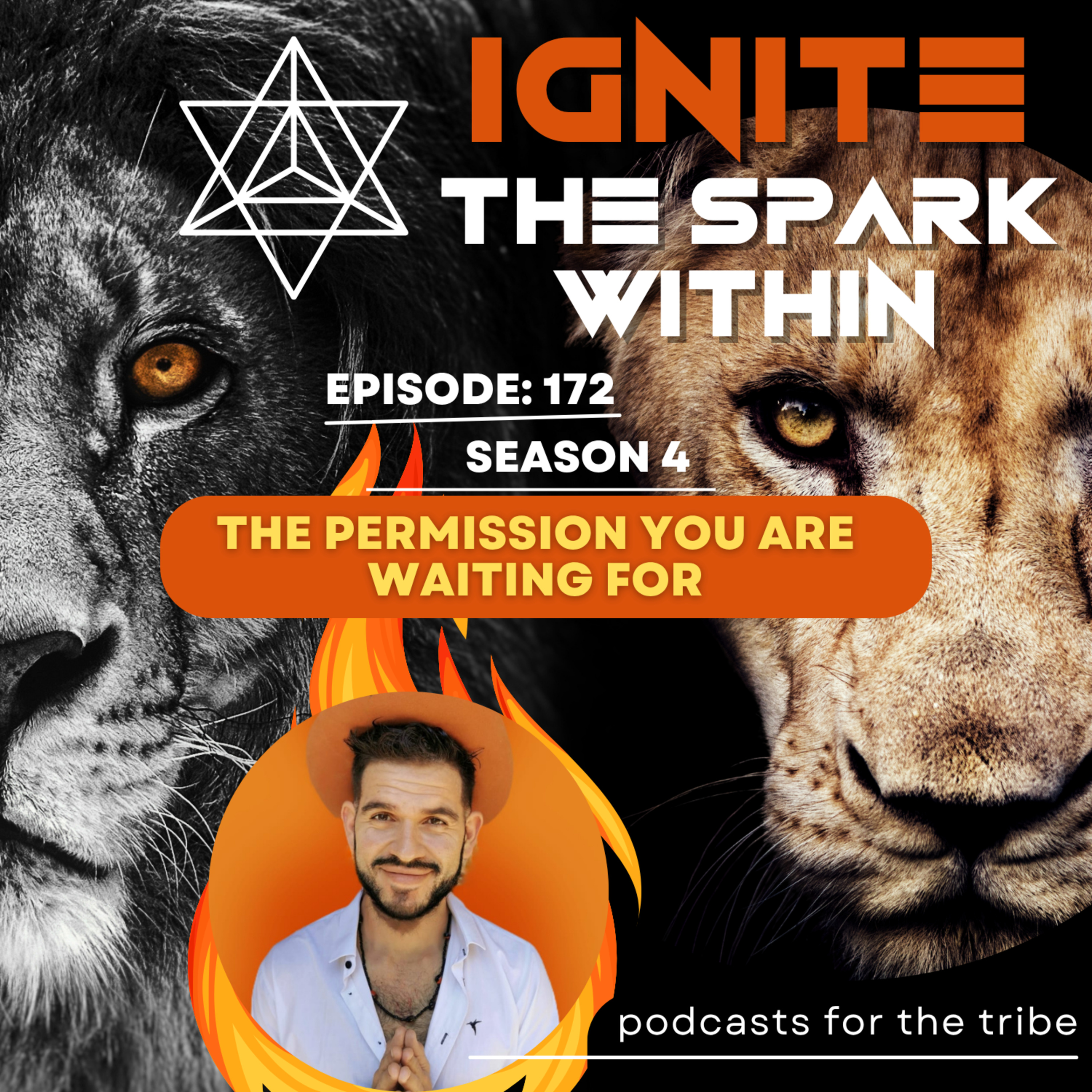 The Permission You Are Waiting For episode artwork