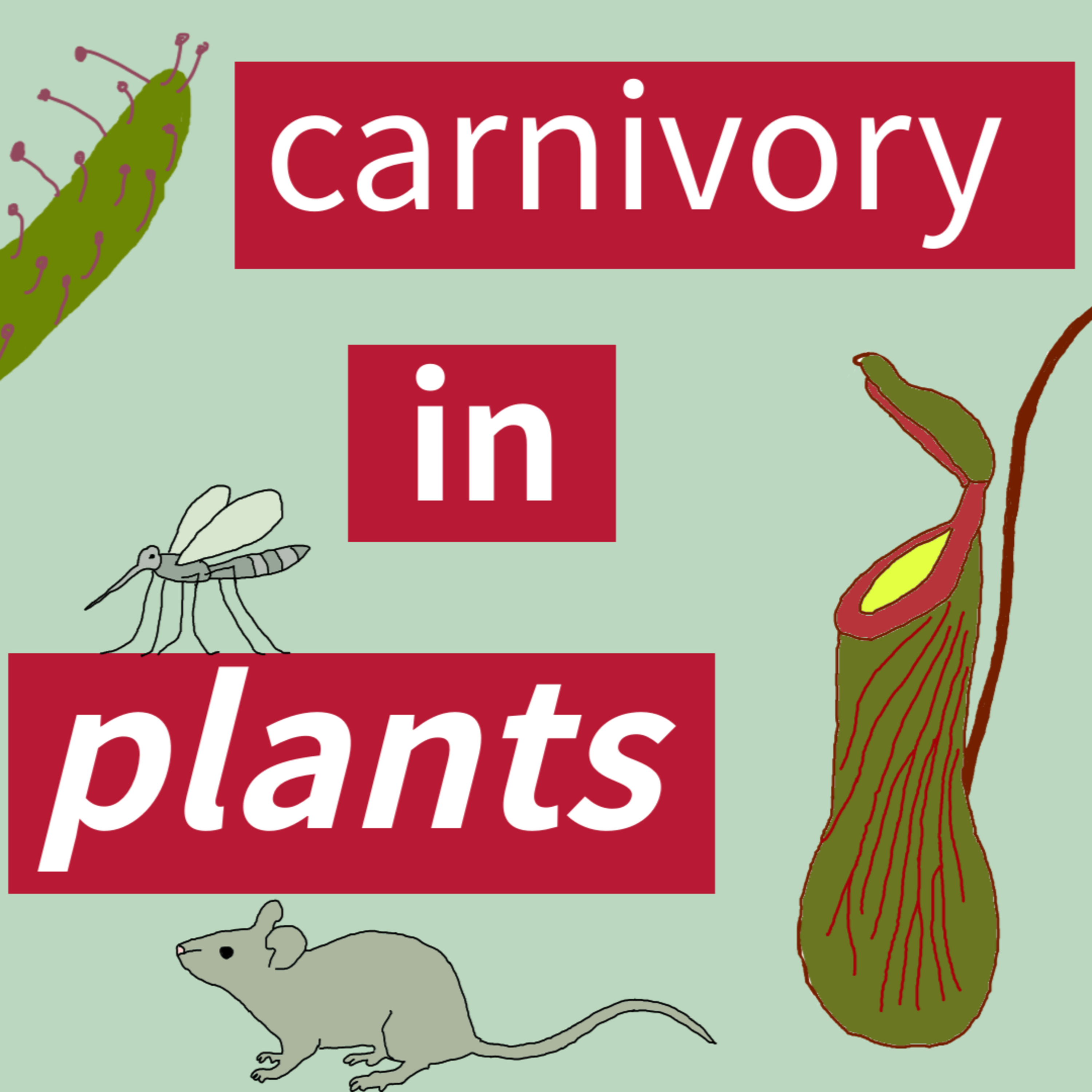 Carnivory in Plants episode artwork