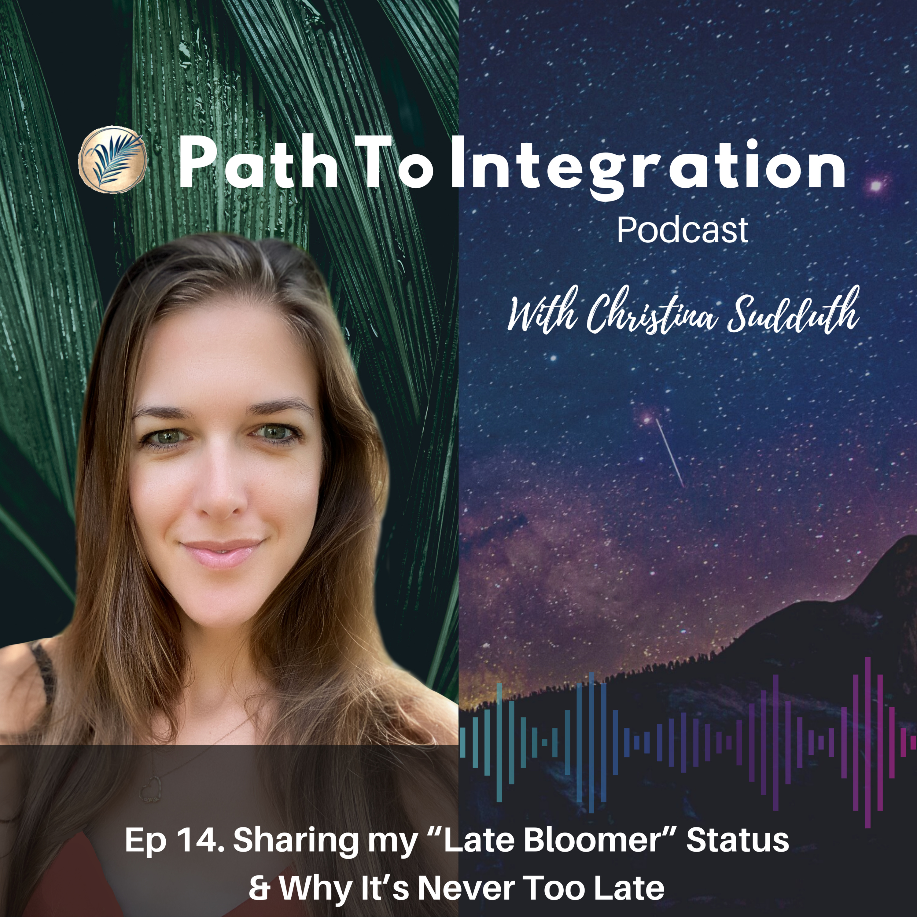 The Path To Integration Podcast