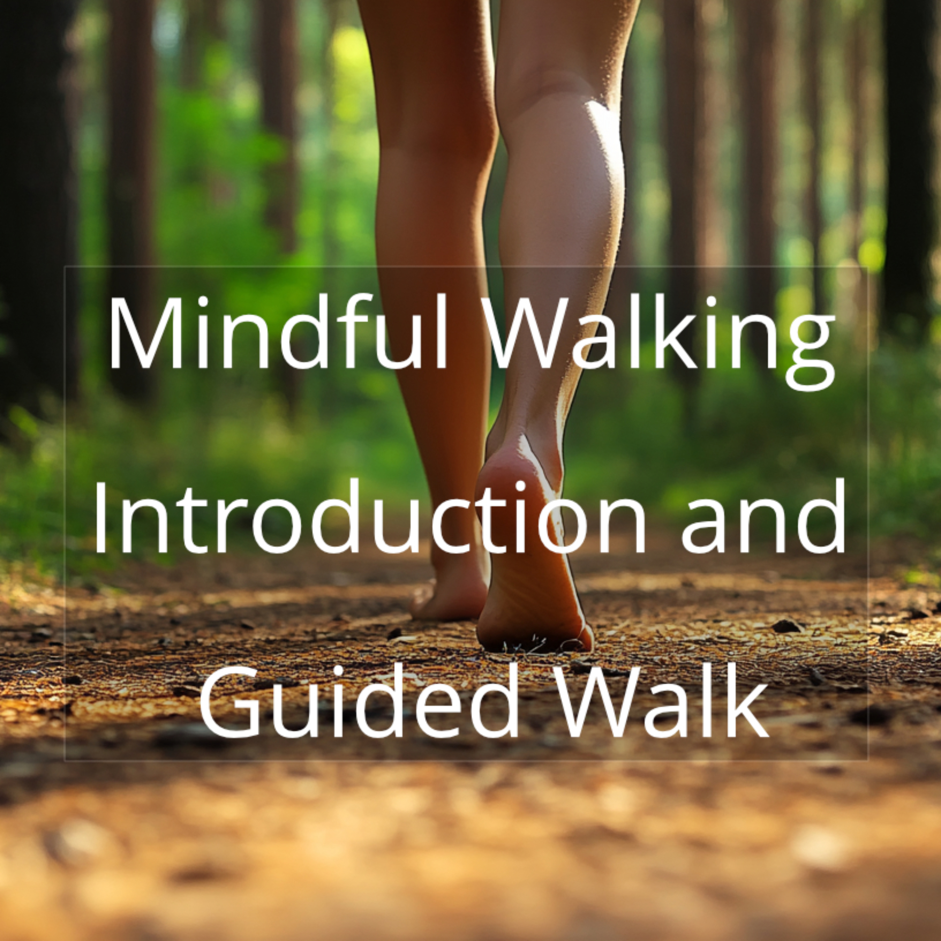 Mindful Walking - Introduction and Guided Walk
