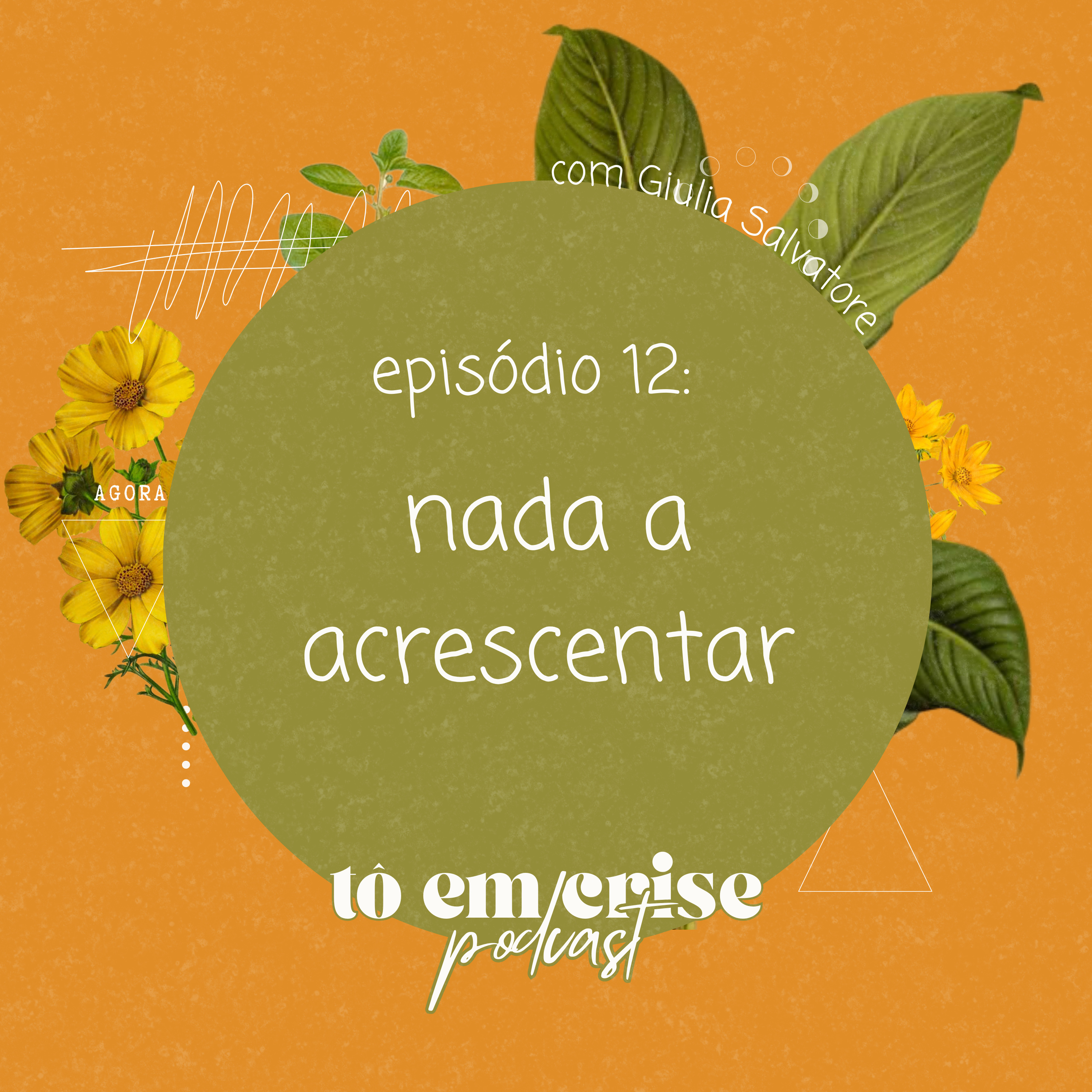 tô em crise