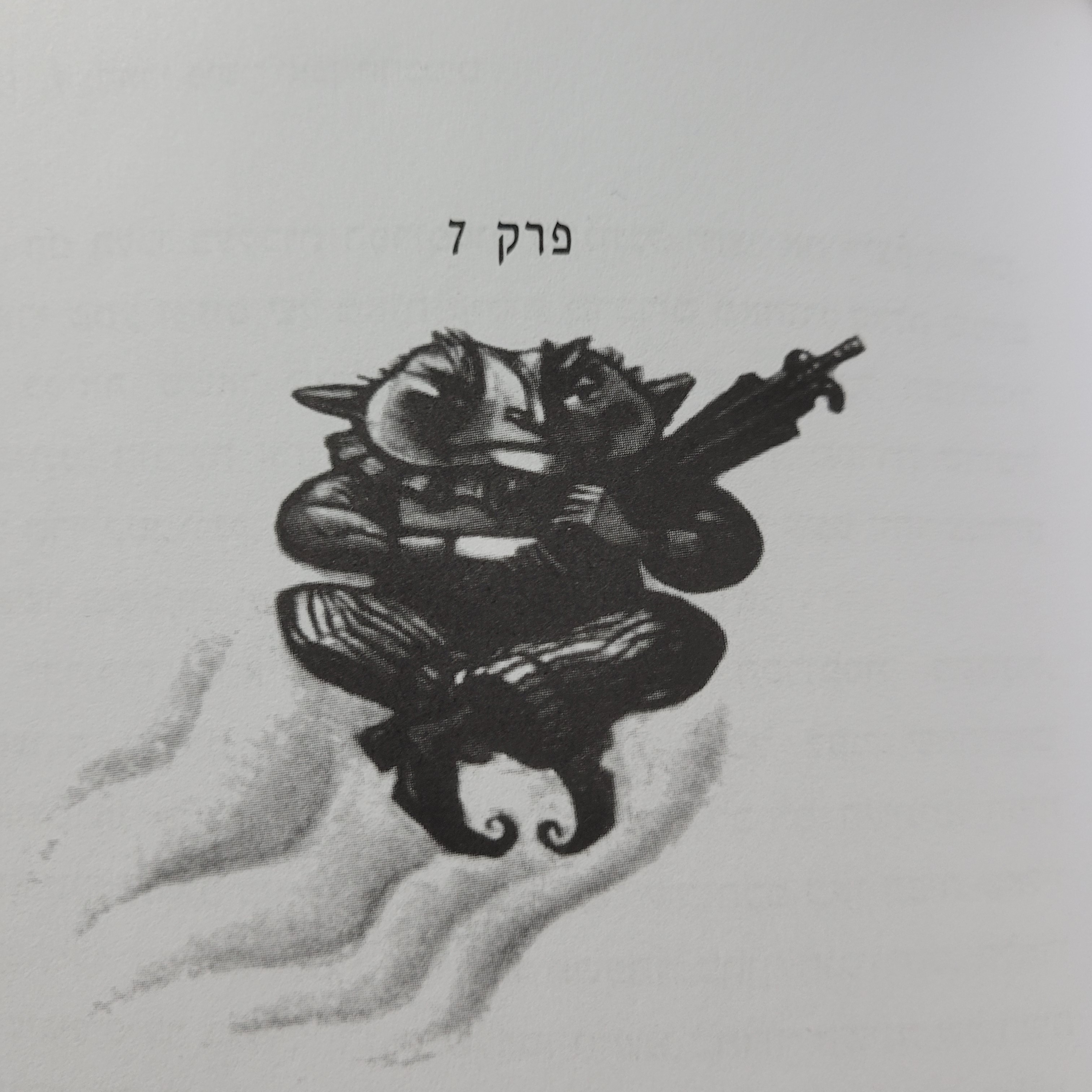 פרק 7 - מצנפת המיון