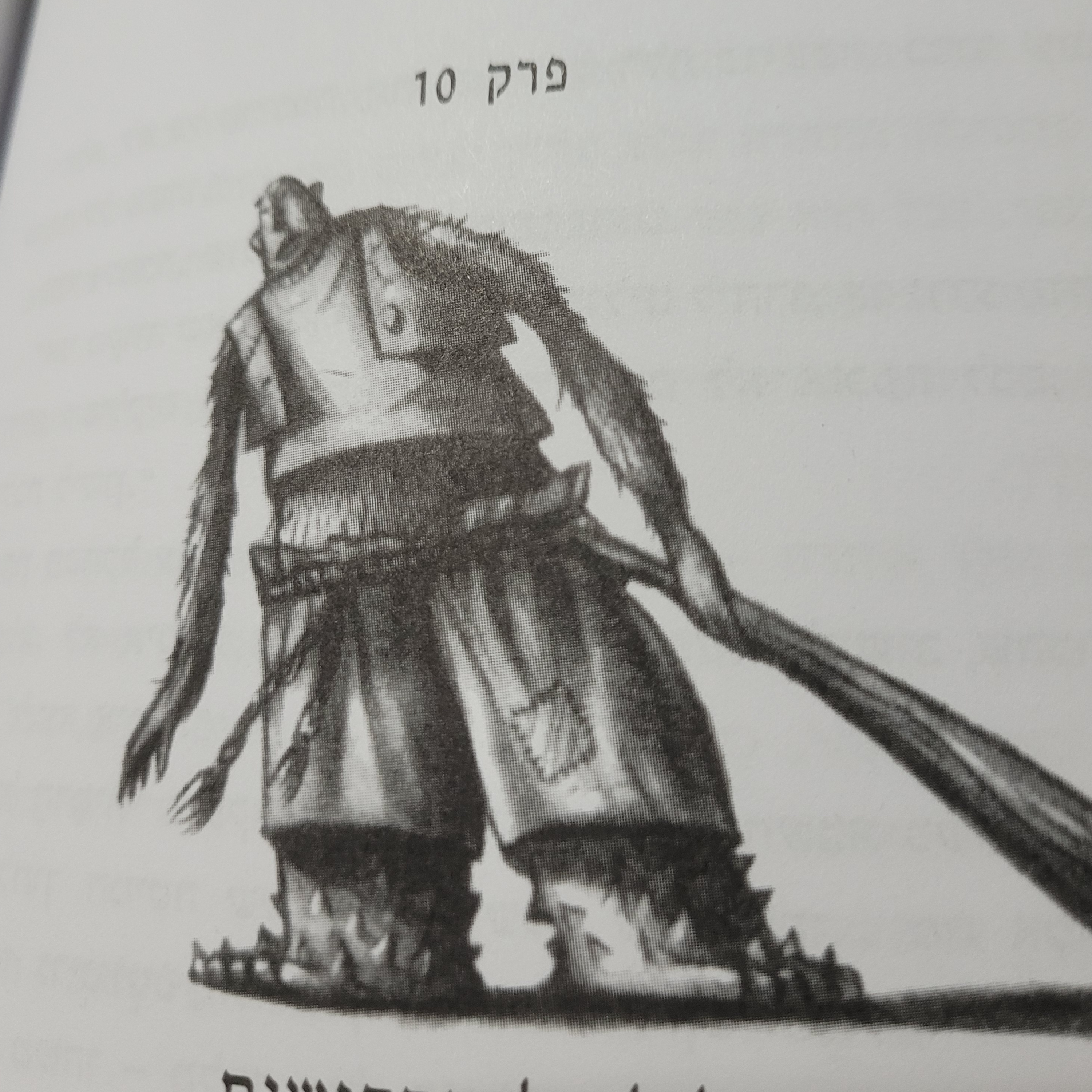 פרק 10 (חלק א) - הטרול
