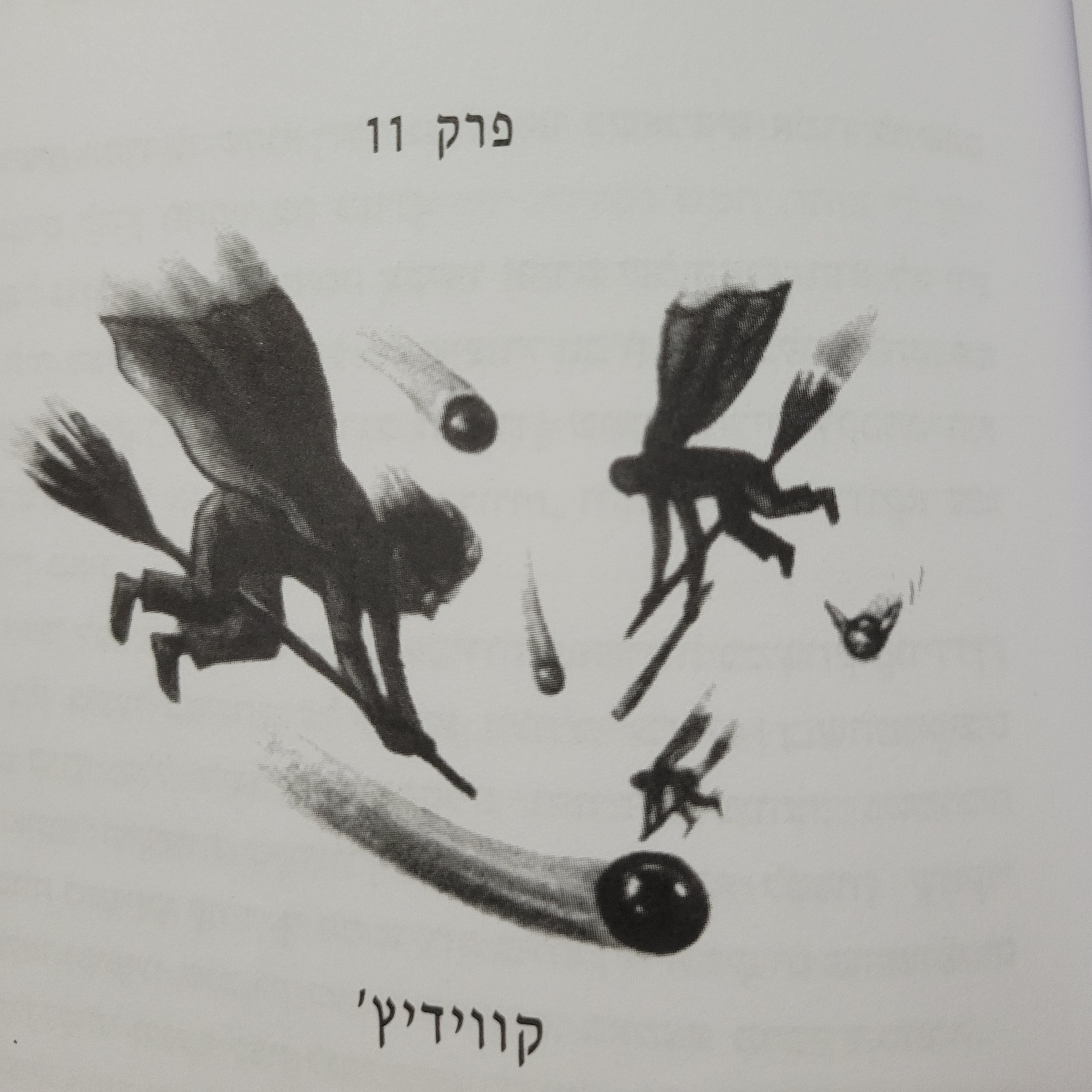 פרק 11 - קווידיץ'