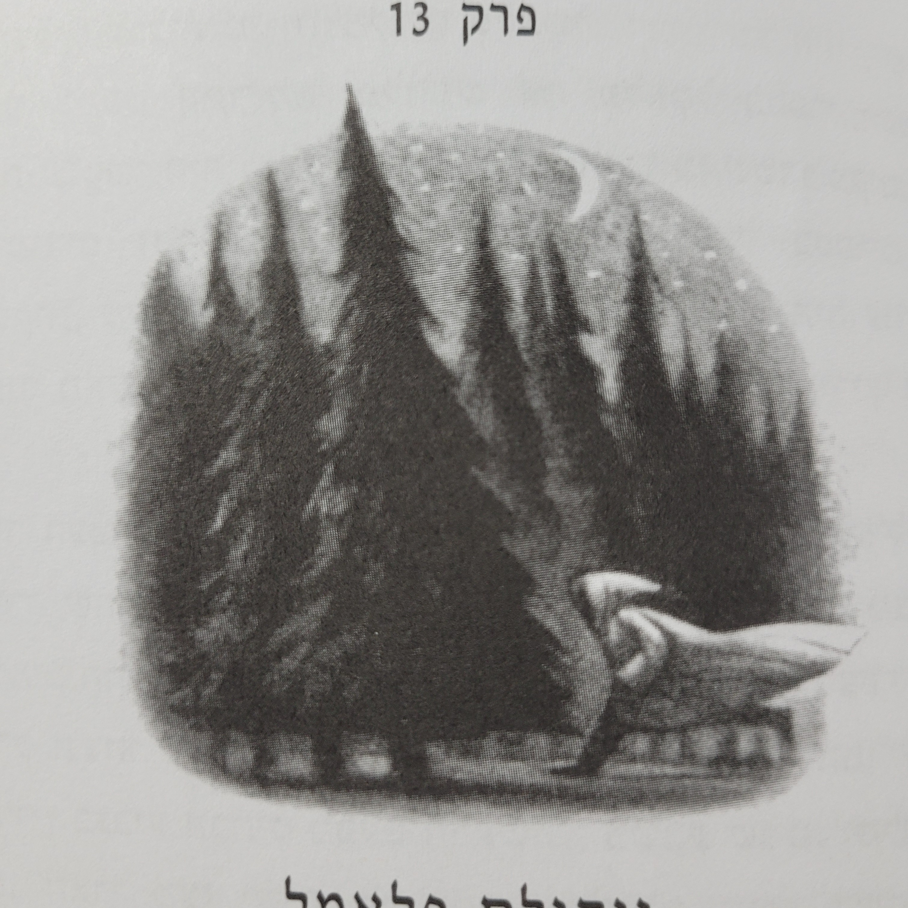 פרק 13 - ניקולס פלאמל
